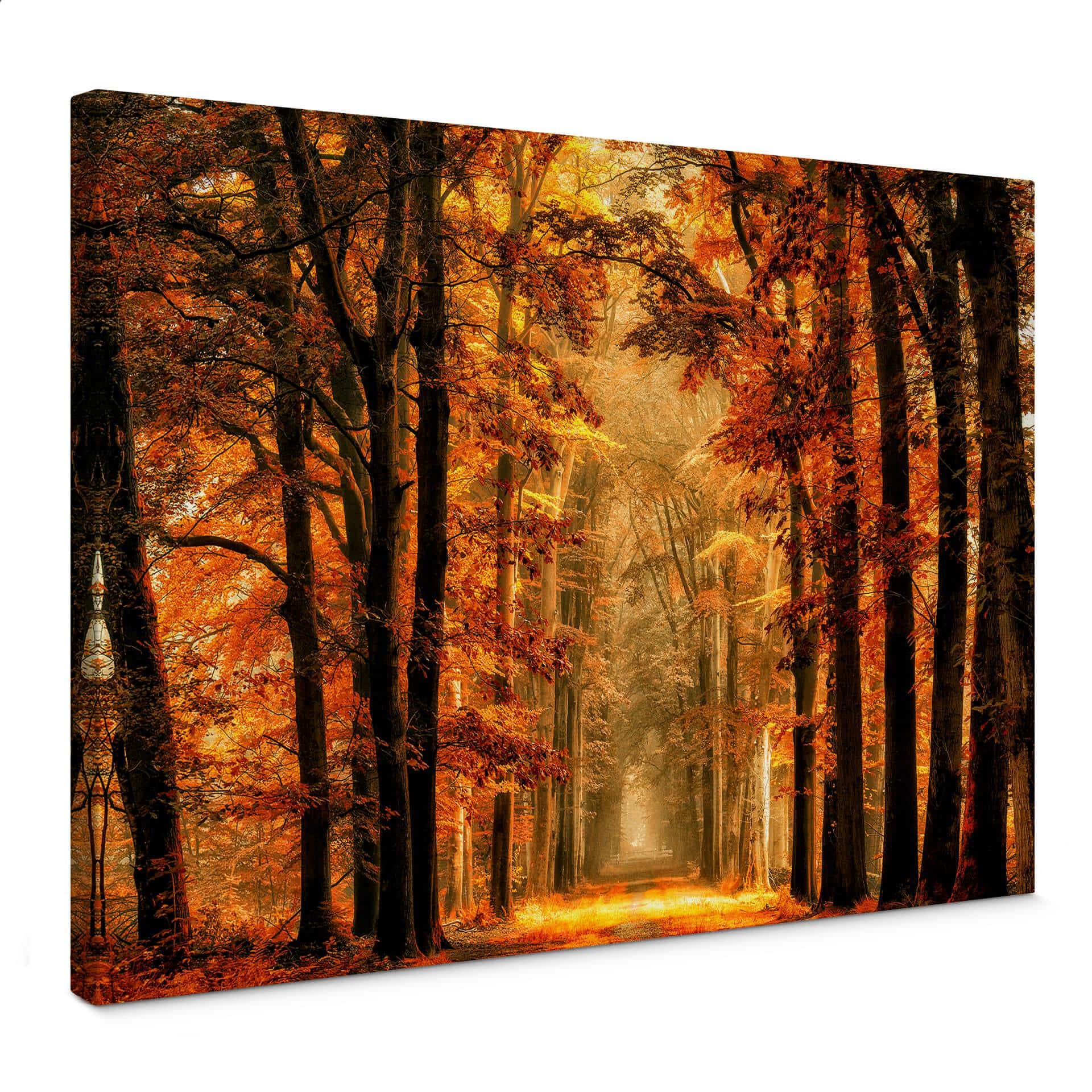 Canvasbillede - can de Goor - Autumn