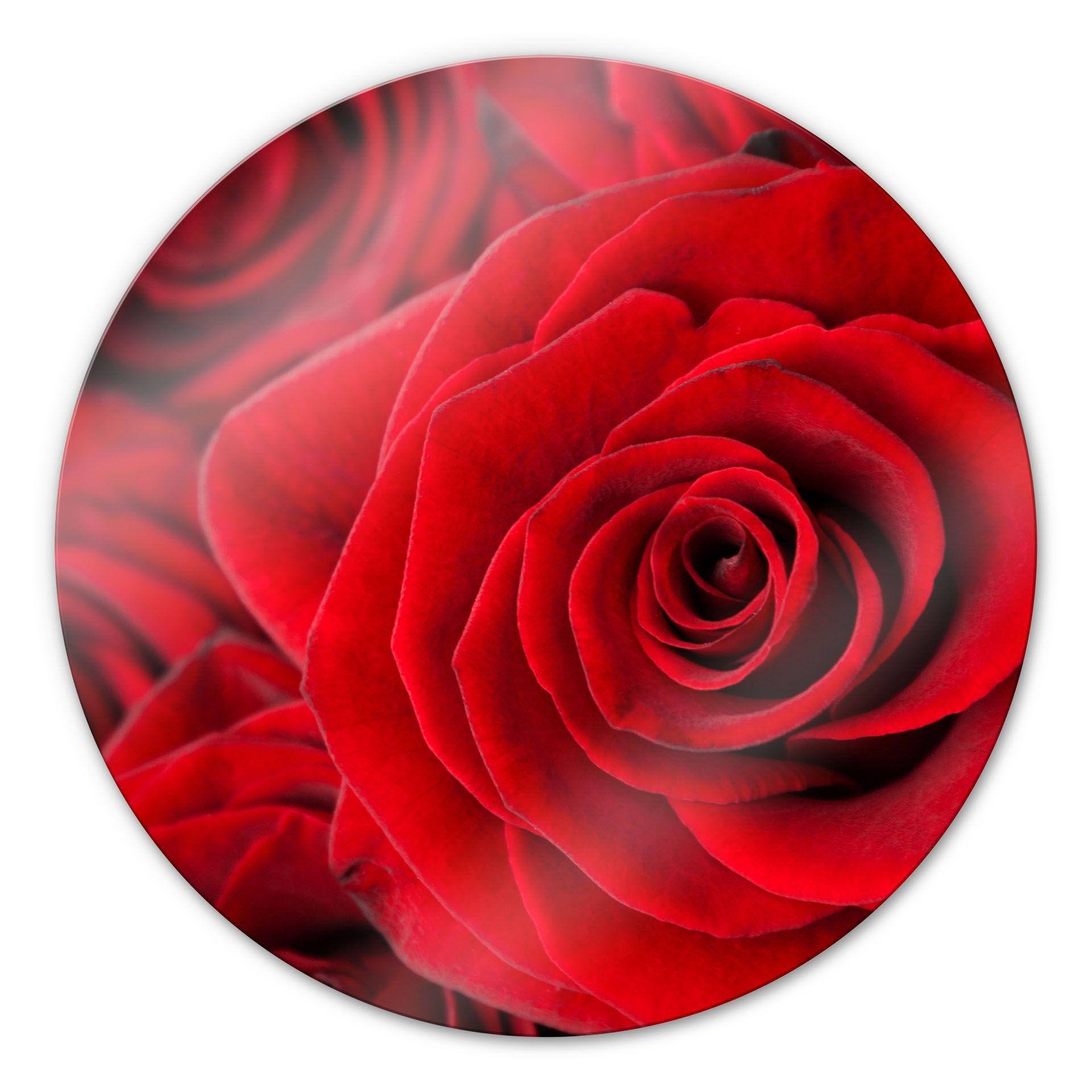 Tableau en verre - Rose - rond