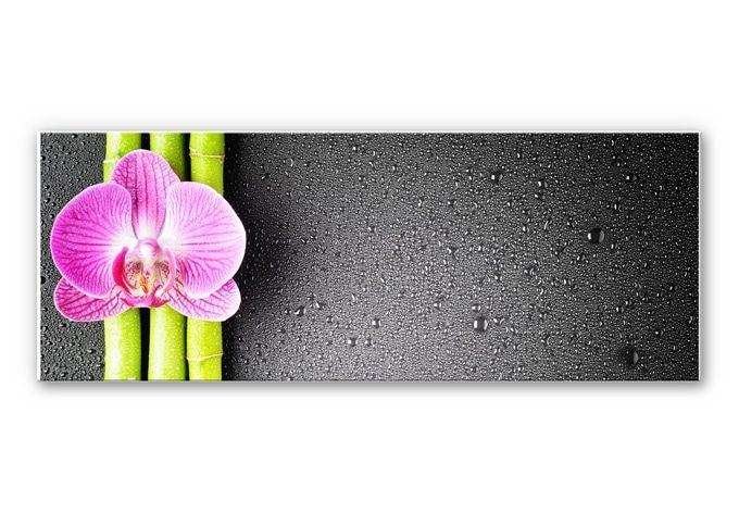 Tableau Forex - Orchid and Bamboo - Panorama (horizontal)