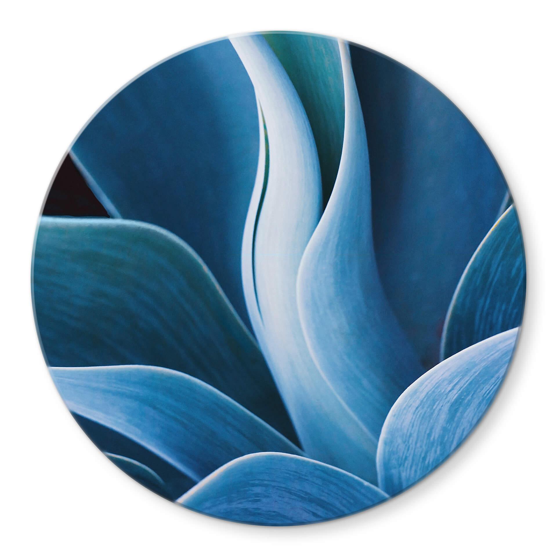 Tableau sur verre rond Wechsler - Plantes d'agave 