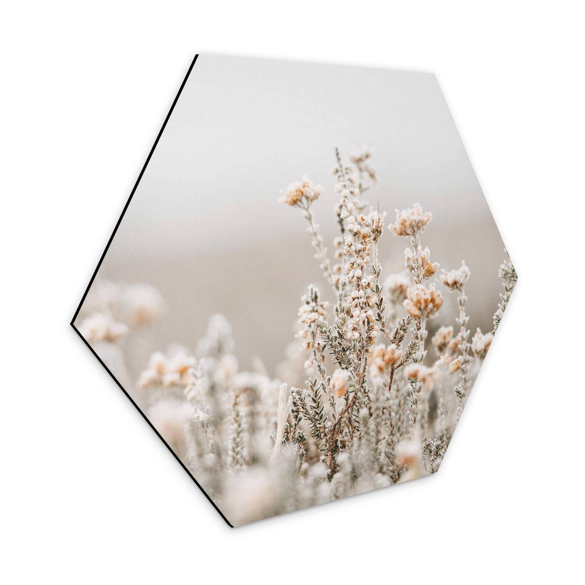 Hexagone - Alu-Dibond Annie - Fleurs de glace