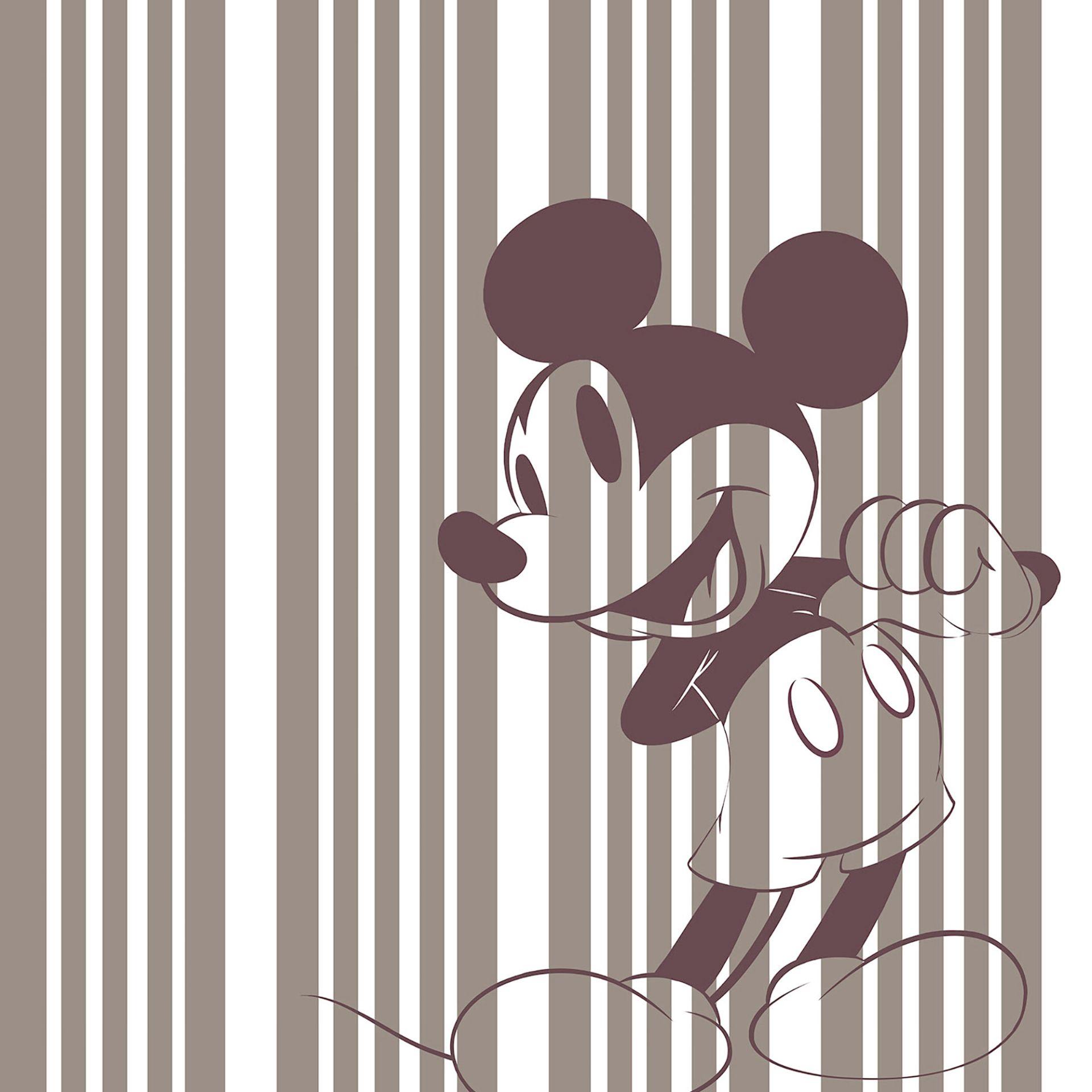 Non-woven tapet - Mickey Tone-On-Tone - 200 x 250 cm