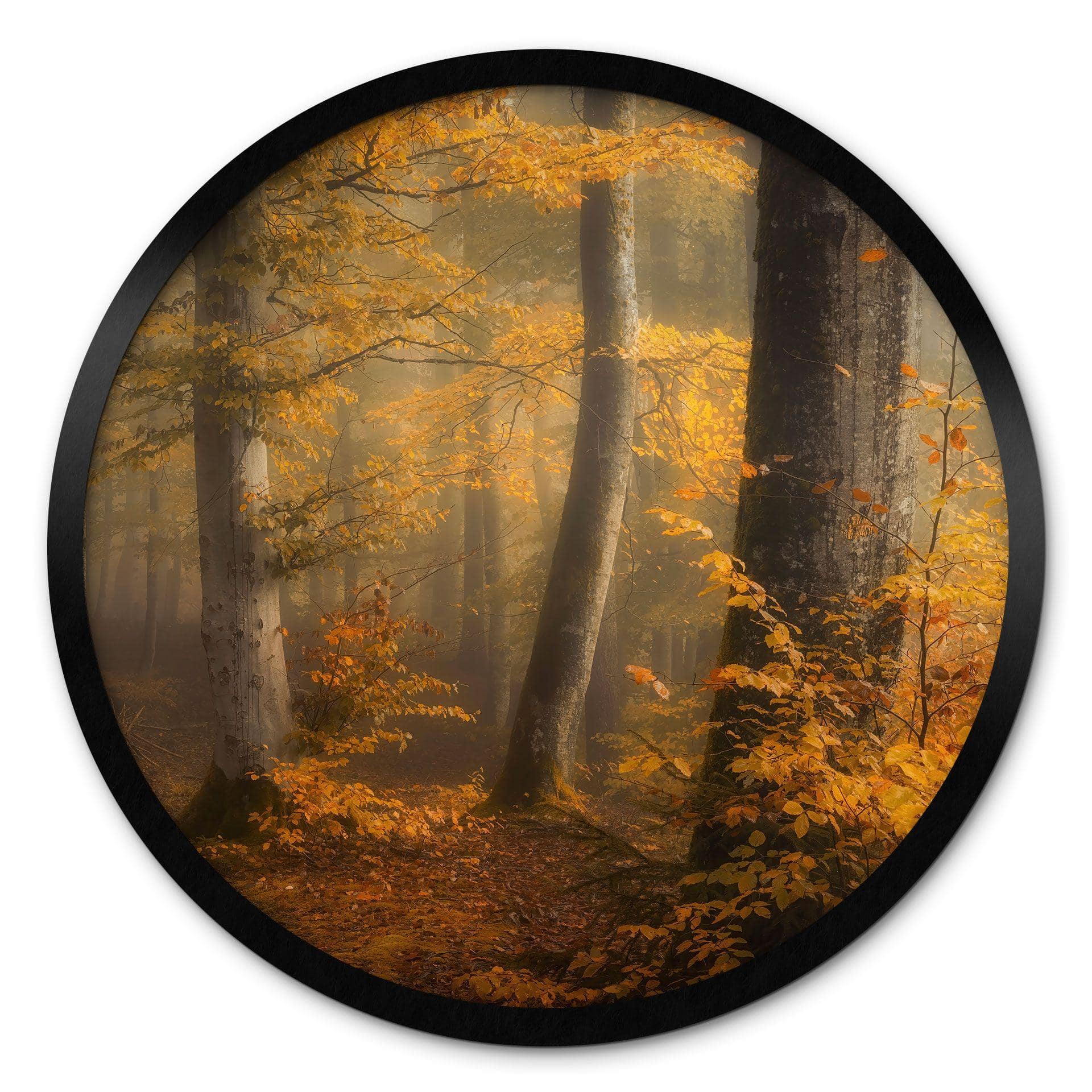 Póster Hojas doradas en un bosque brumoso - Maier - Redondo