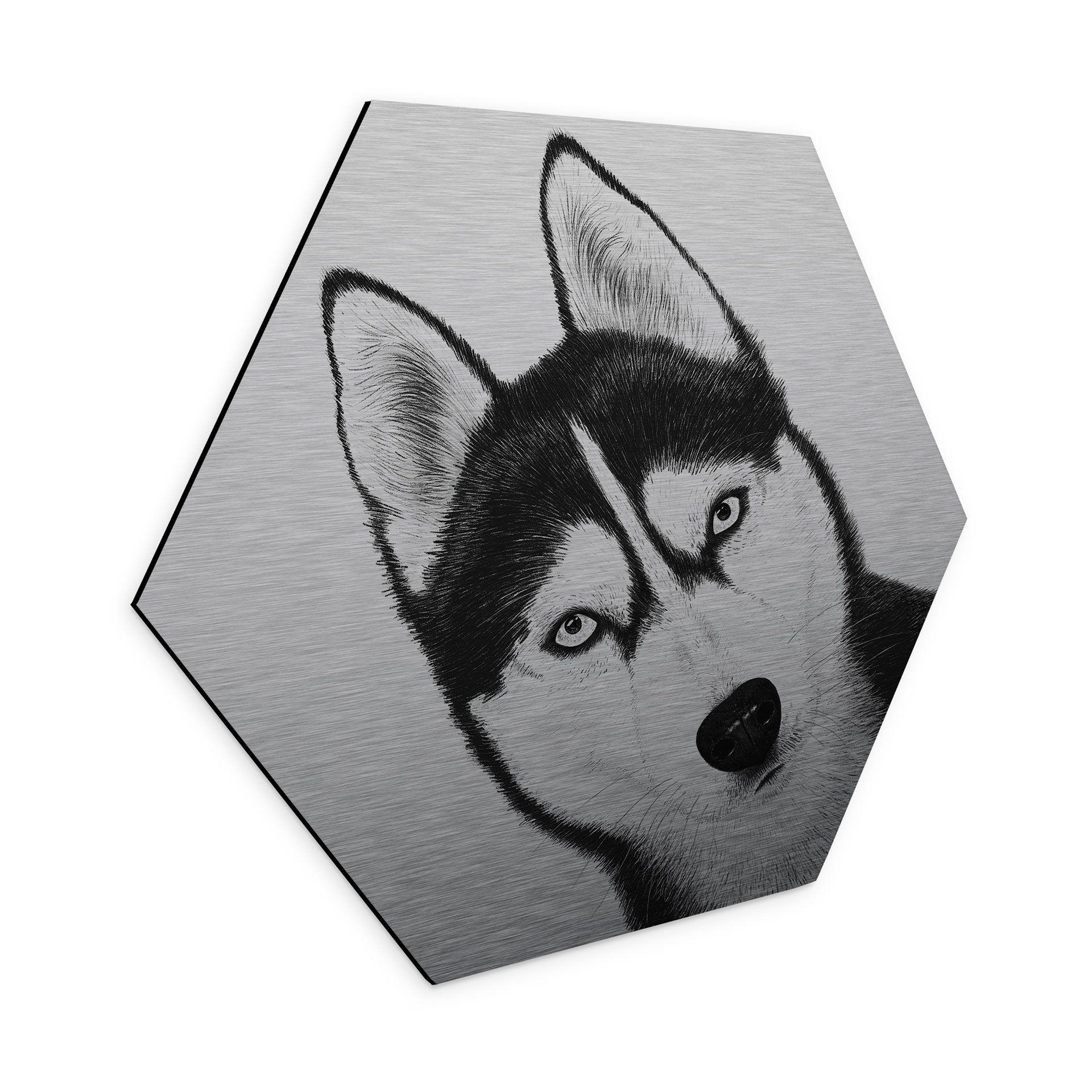 Aluminium Dibond met zilvereffect Siberische husky - Hondenportret - Korenkova - Zeshoek
