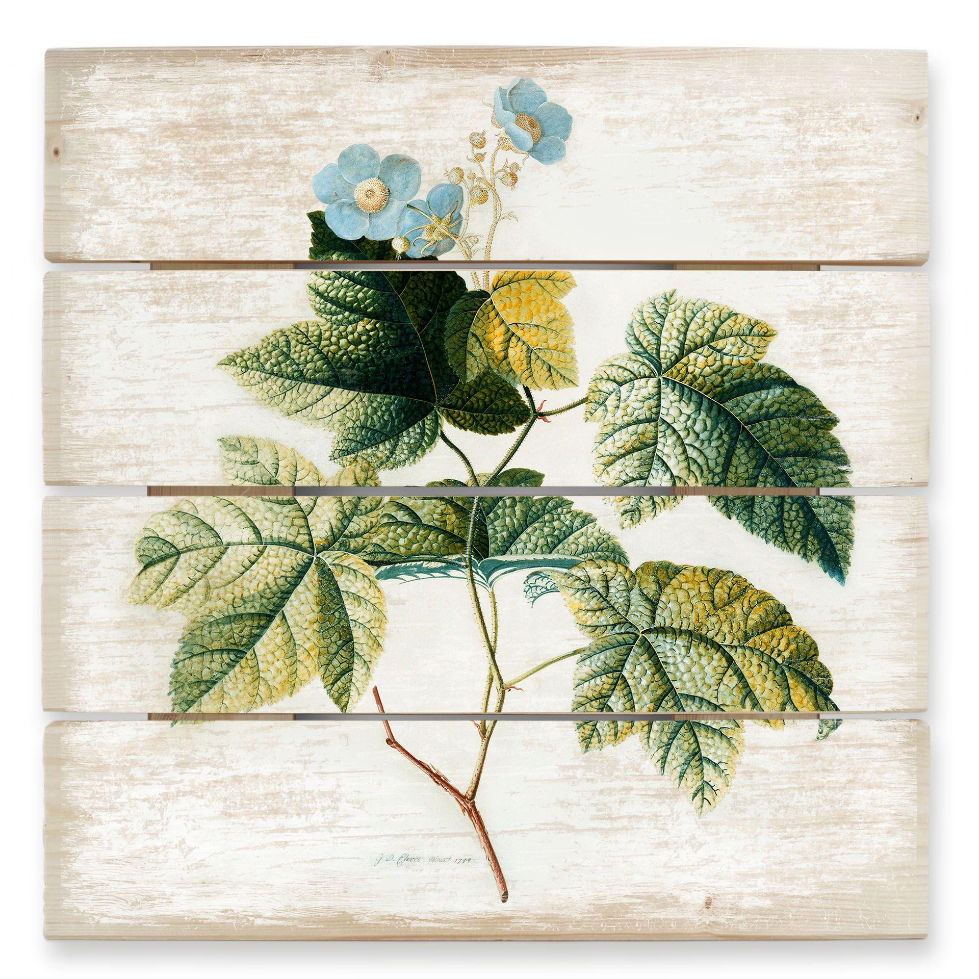Cuadro de madera Ehret - Rubus - 40x41,5 cm