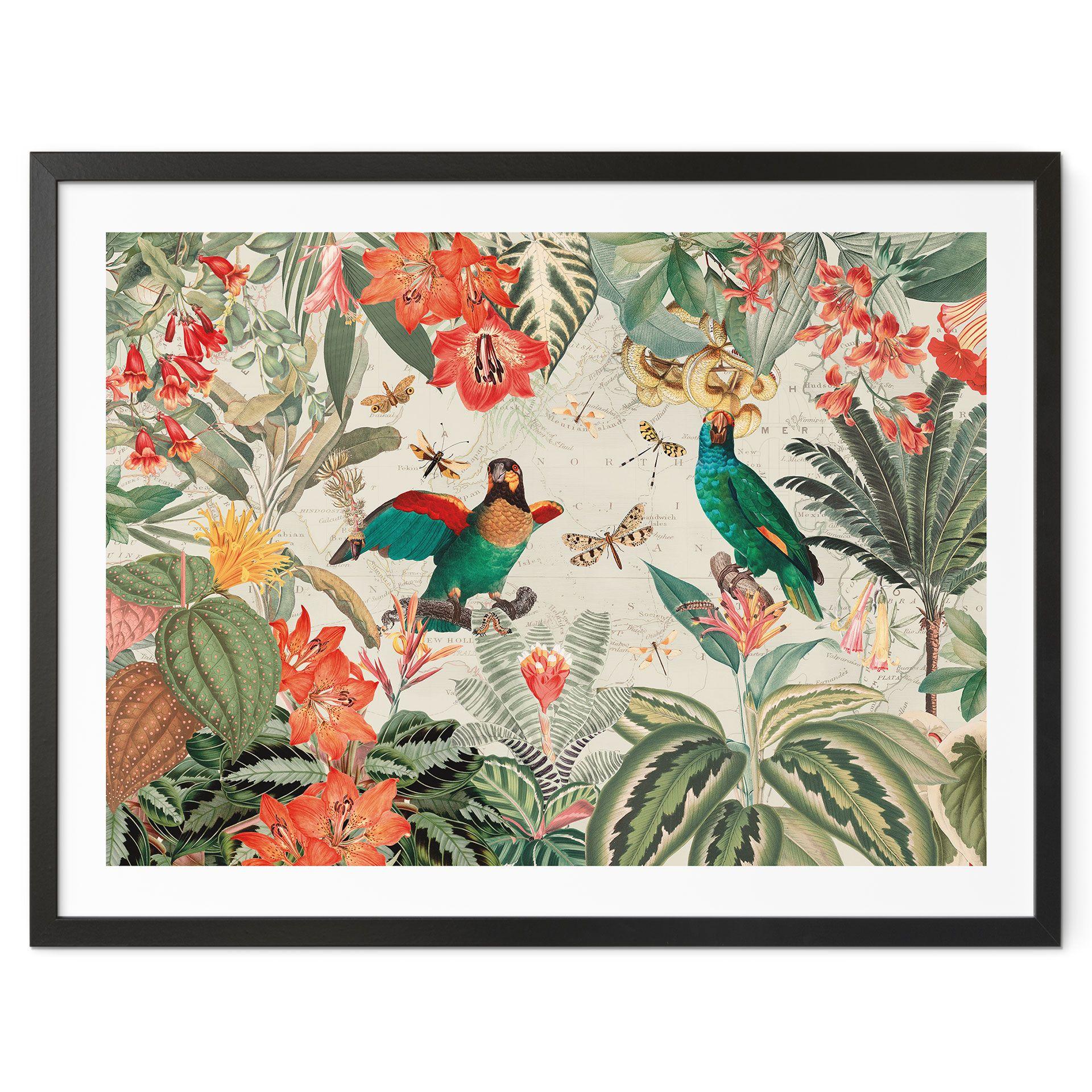 Póster Selva exótica con loros - Diseños ONU