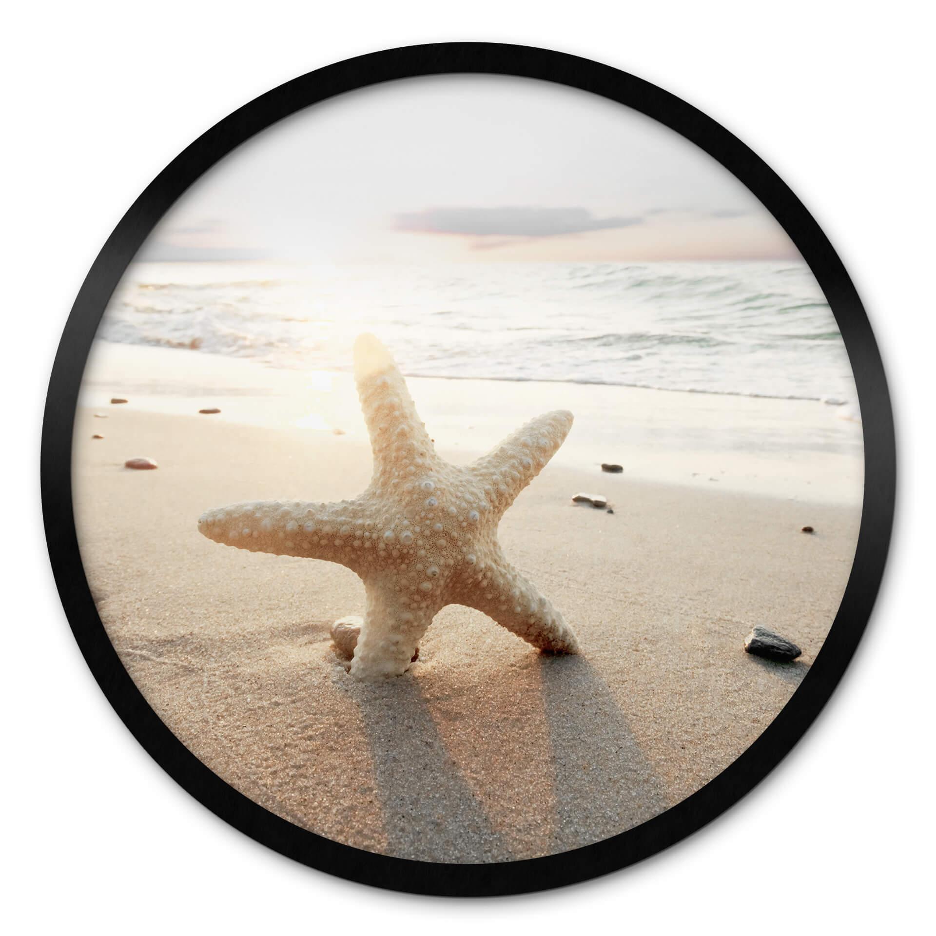 Póster Estrella de mar centelleante en una playa solitaria - Redondo