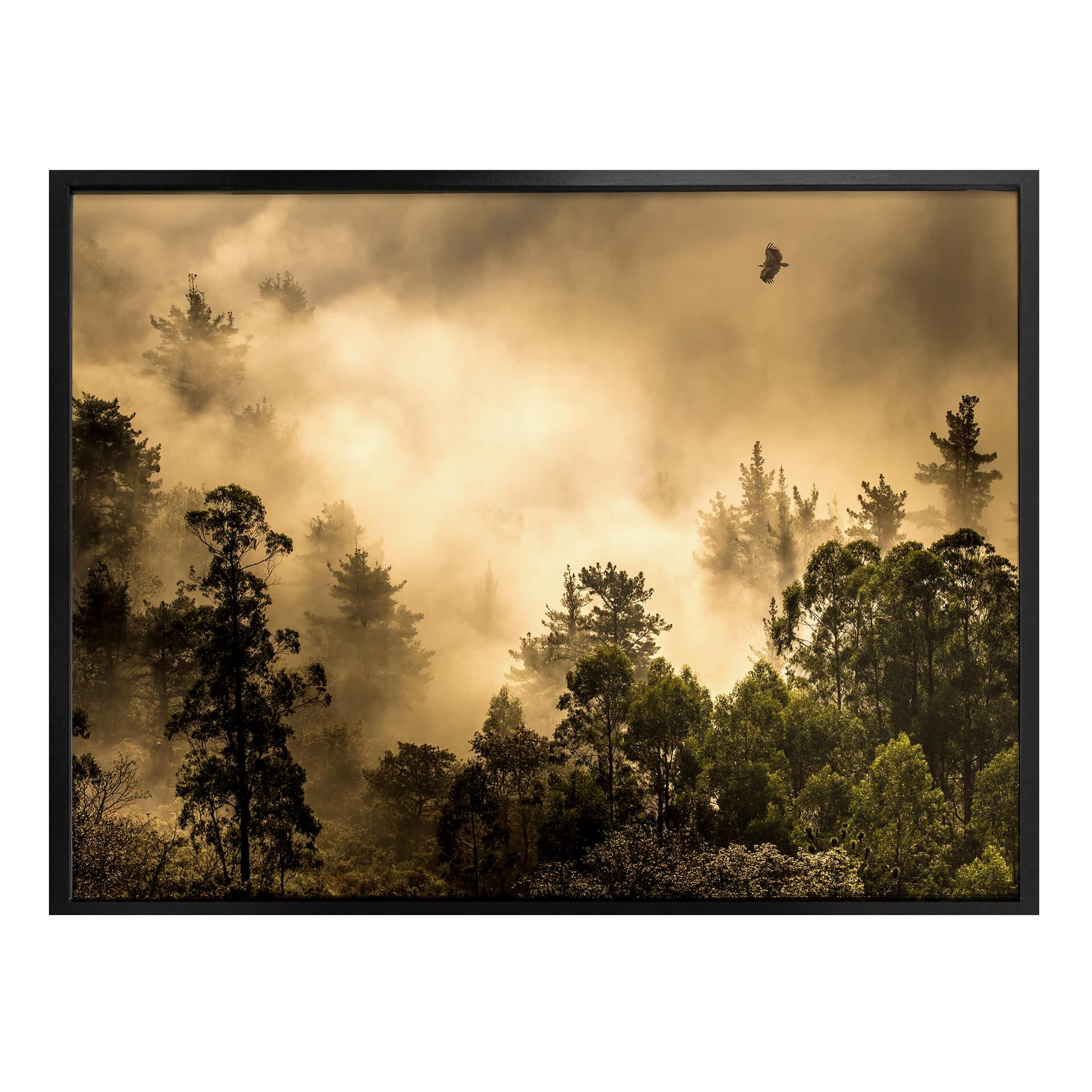 Póster Cuadrado - Nubes de luz