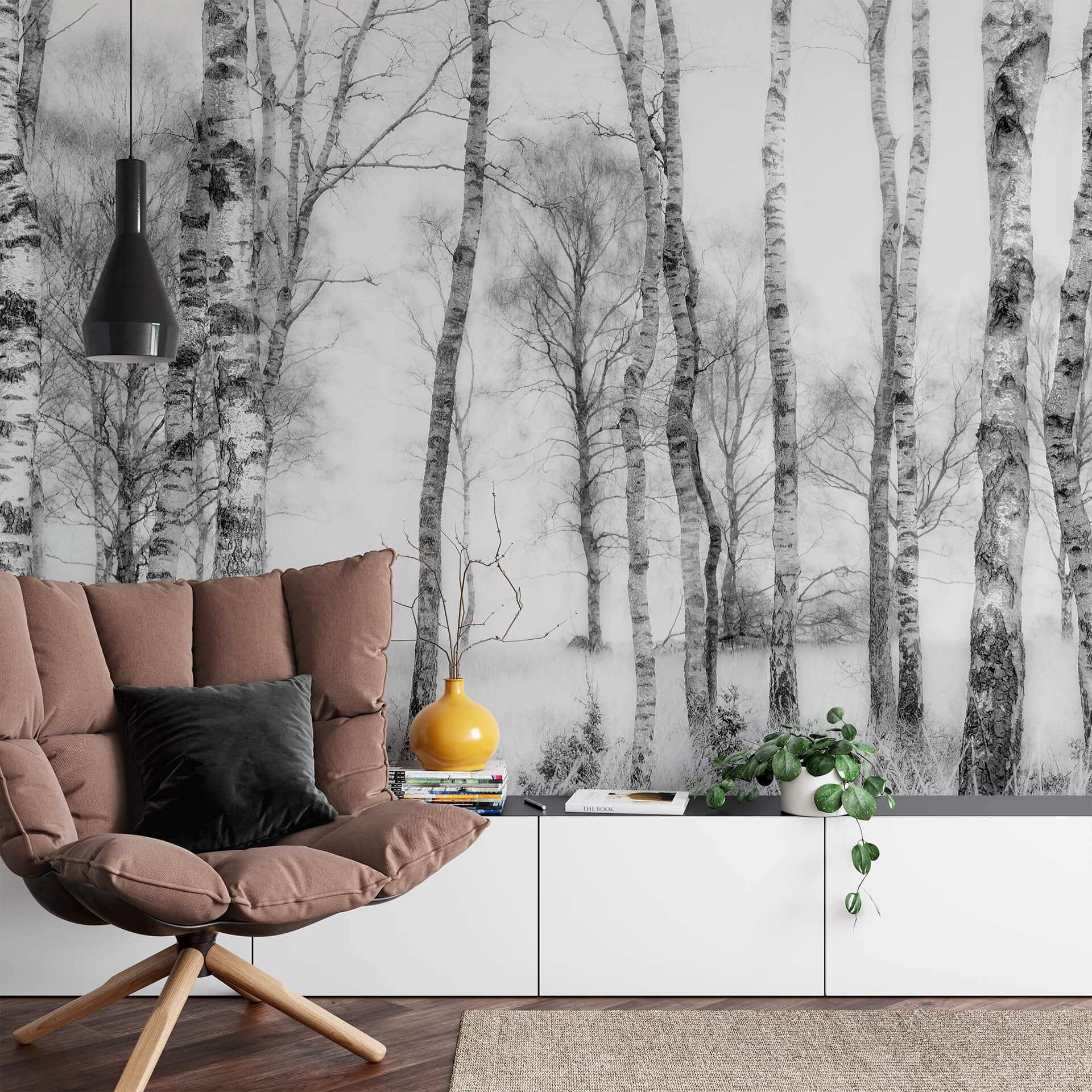 Papier peint photo Talen - Forêt de bouleaux noirs et blancs - 432x260cm