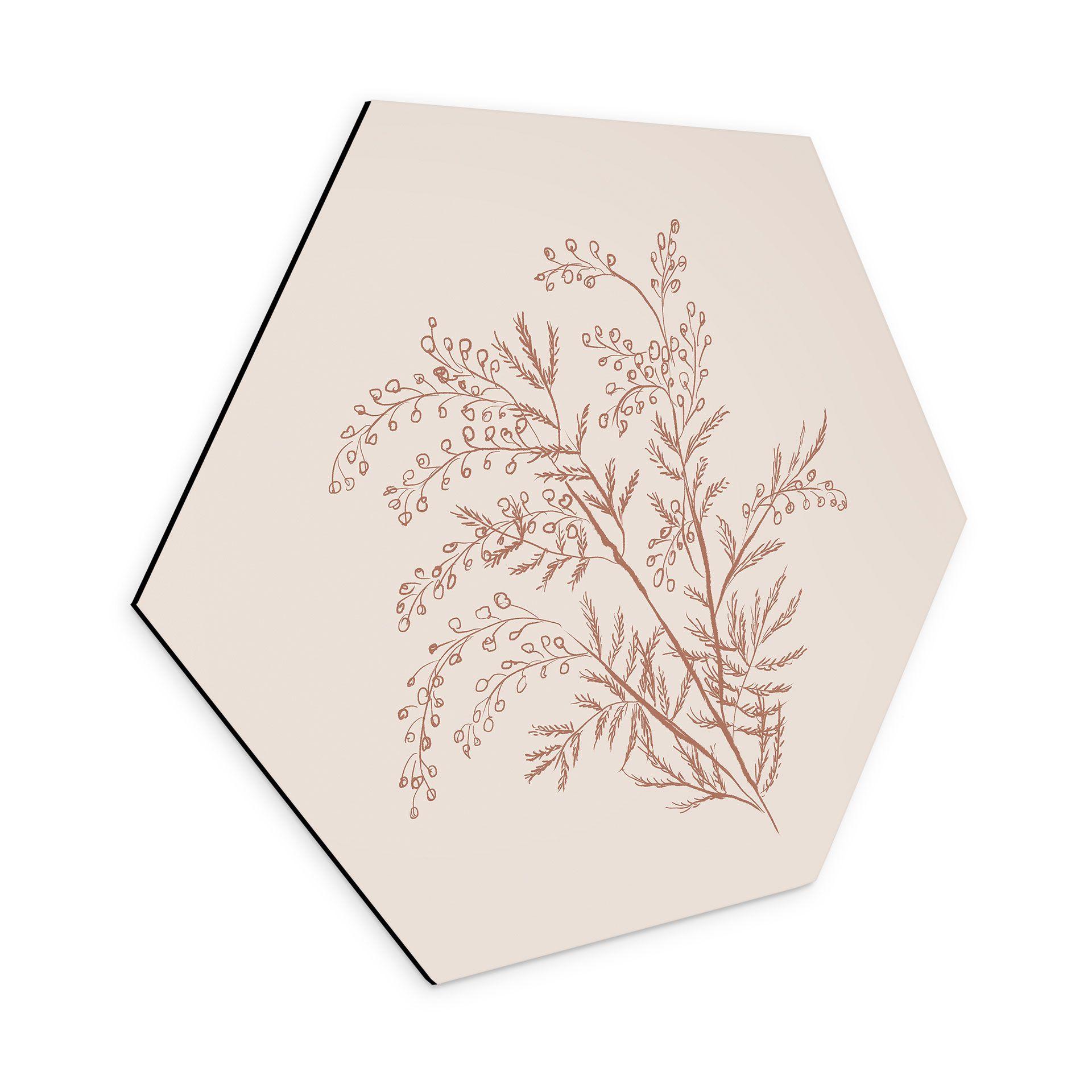 Sekskantet billede Gren af akacie i mokkafarver - Anis-illustration - Aluminium dibond