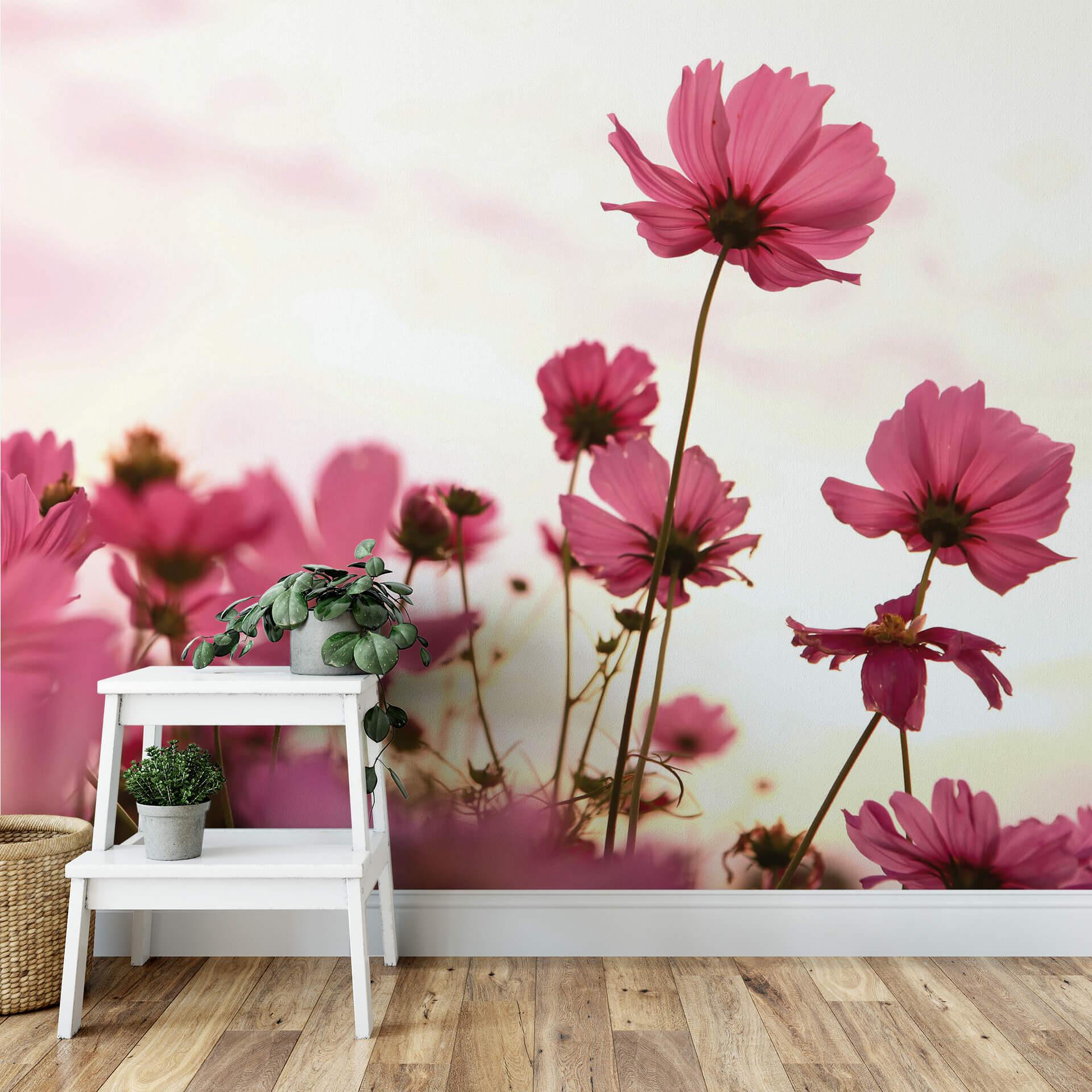 Fototapet Valmueblomster