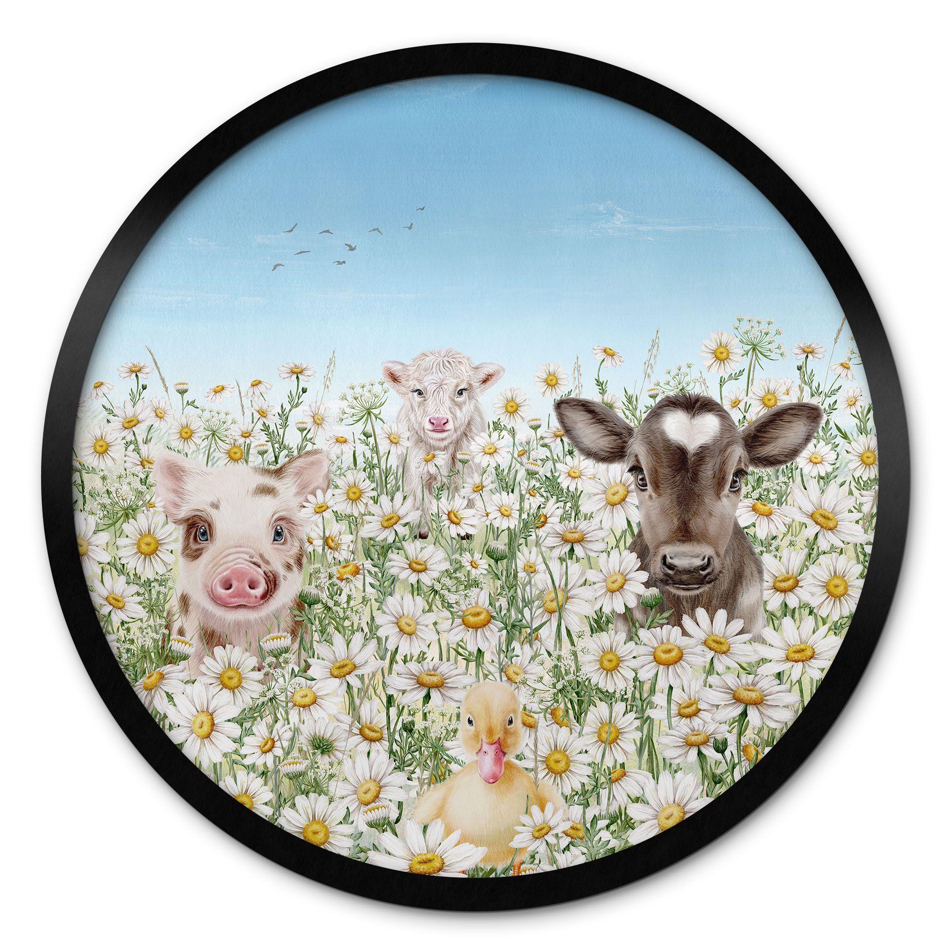 Póster animales de granja en el prado de flores - Kikki Belle - Round