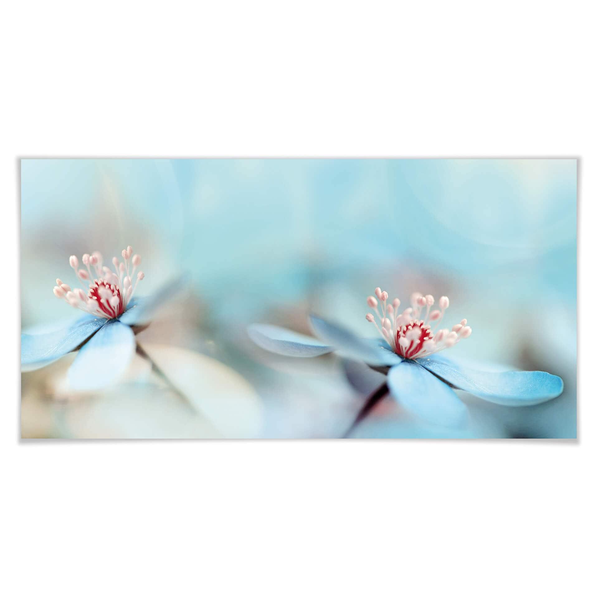 Póster Westum - Flores delicadas