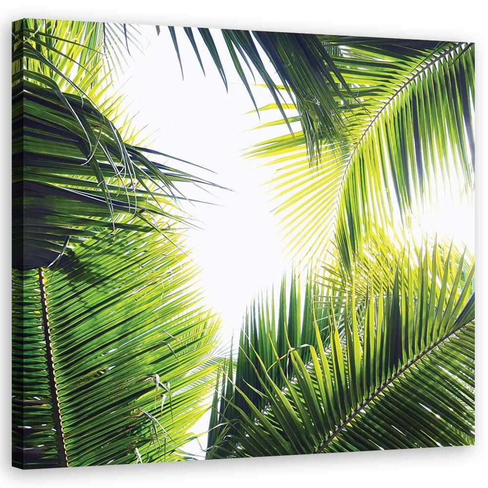 Canvasbillede, palme blade planter