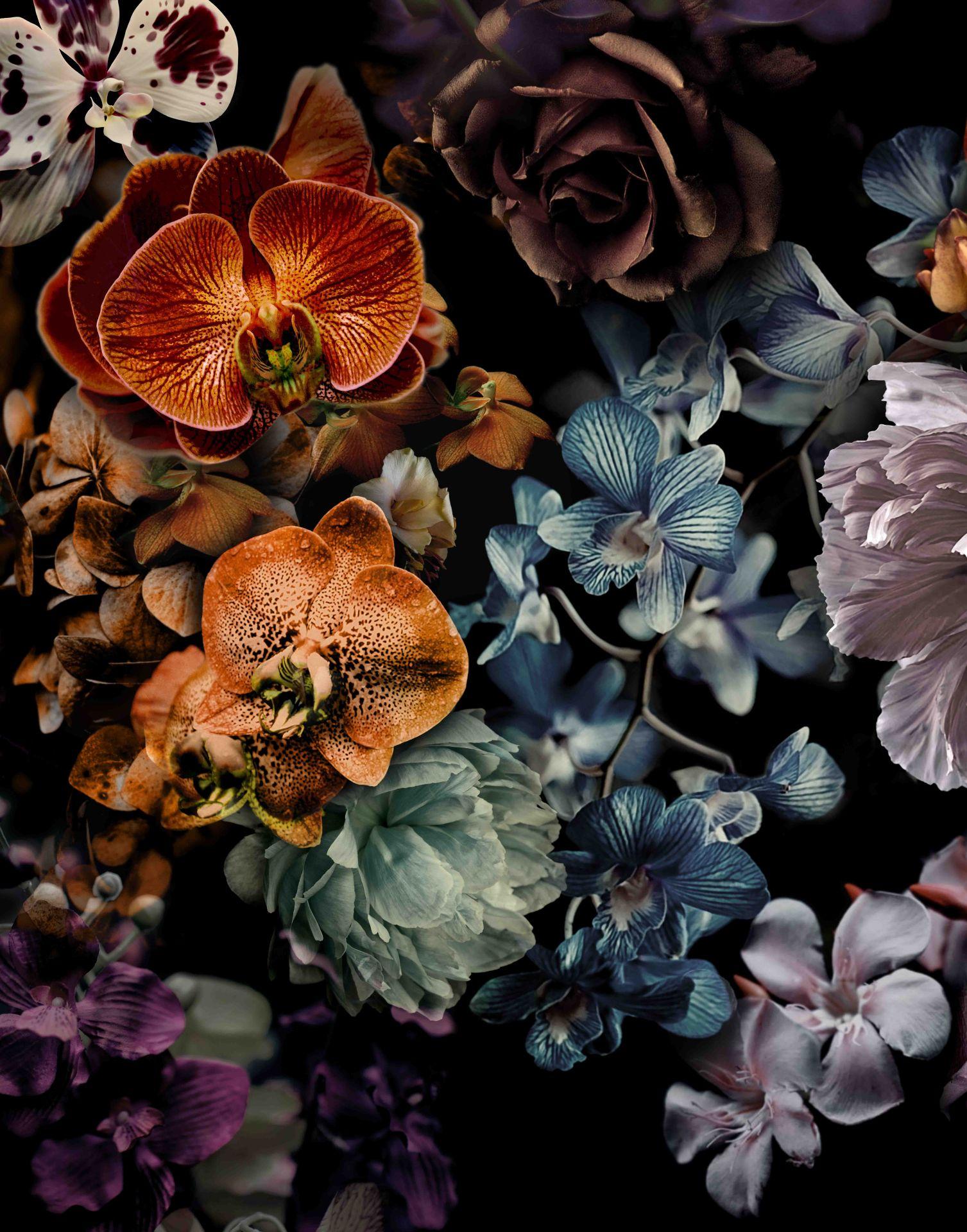 Fototapet med motiv af mørk blomsterbuket i sort med orkideer 2,7 x 2,12 m