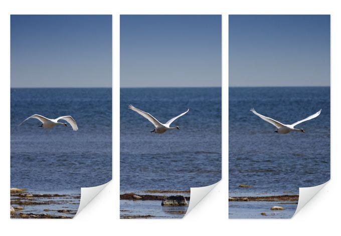 Poster autocollant - W - Le Vol du Cygne triptyque