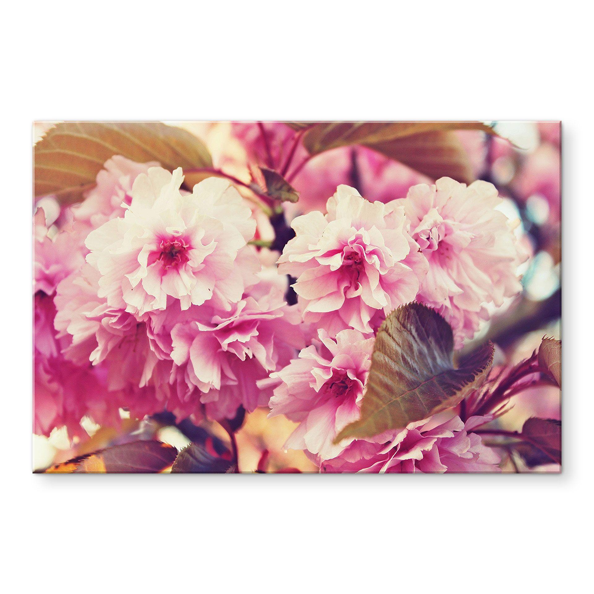 Akrylbillede vintage kirsebærblomster