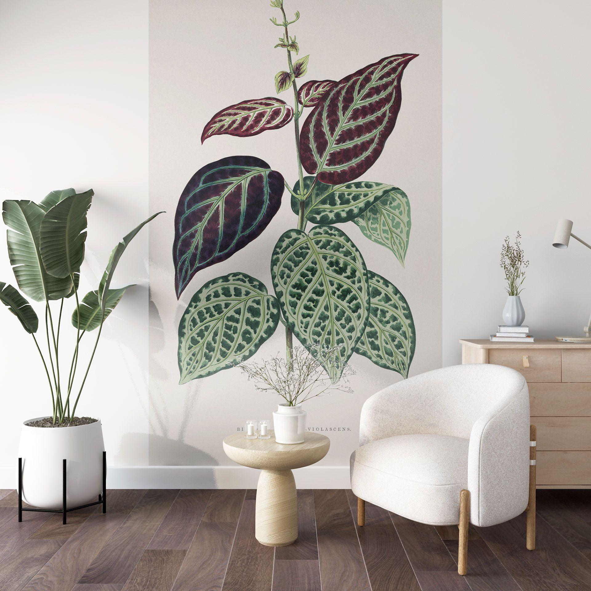 Fototapet Illustration af blade - Bignonia Argyro Violascea