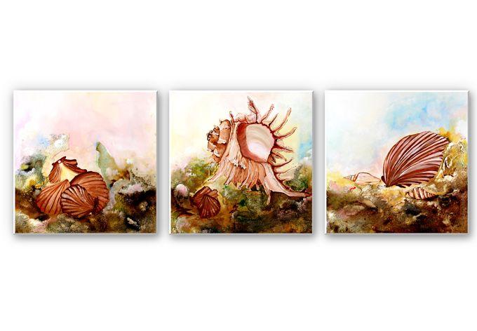 Wanddecoratie Fedrau - Schelpen 02 (3-delig)