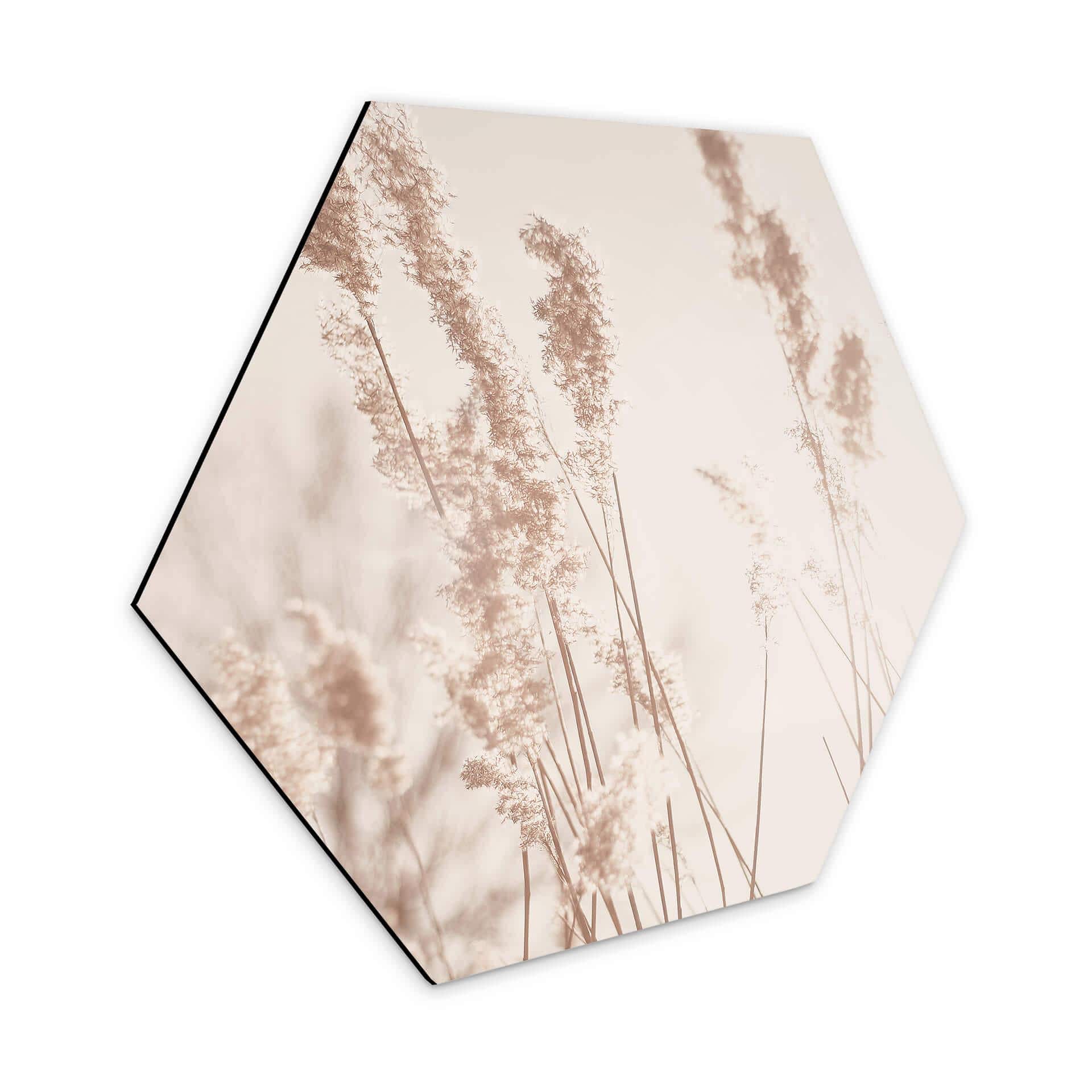 Hexagone - Tableau en alu-Dibond Graminées au soleil