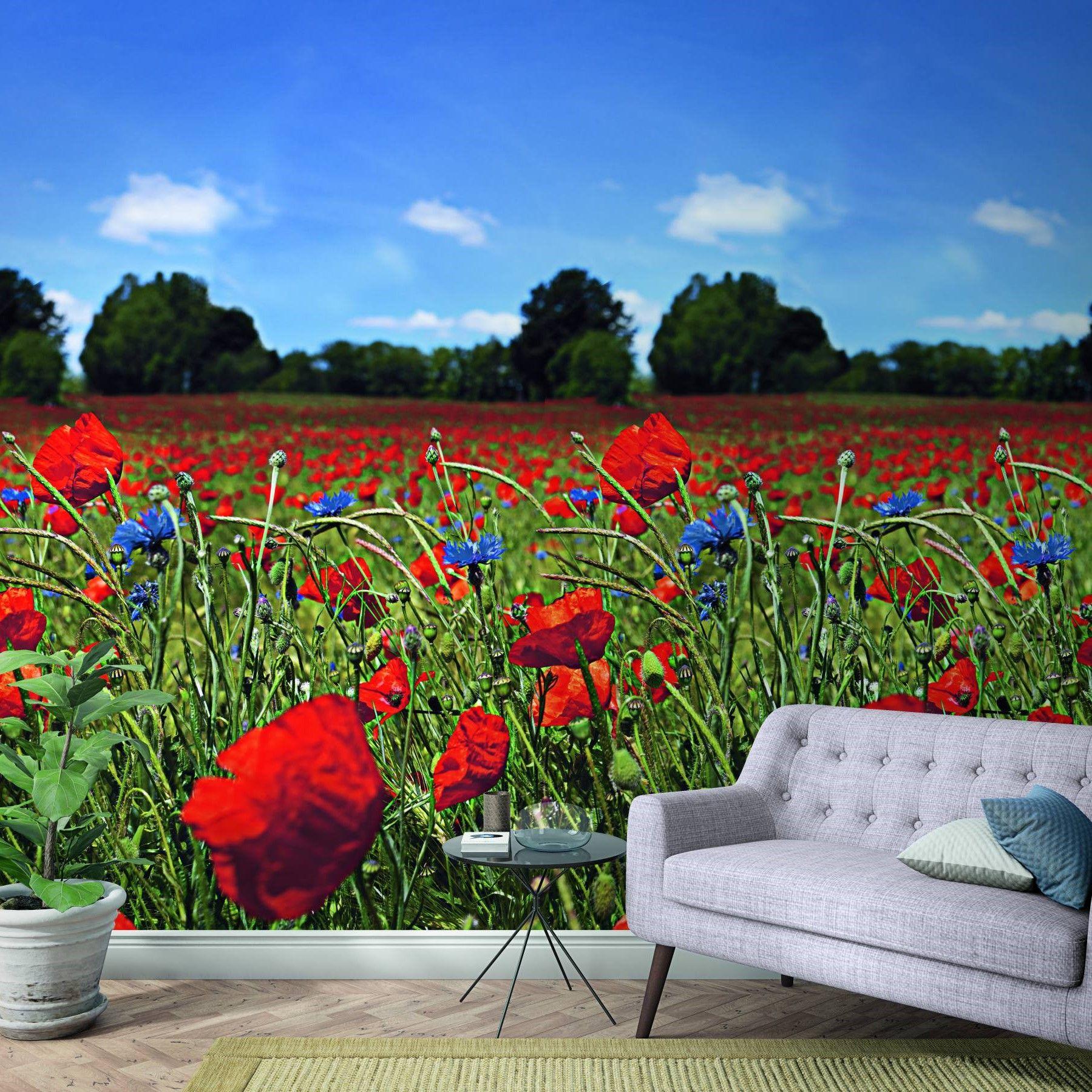 Fototapet med blomstereng og blå himmel Rød, Grøn, Blomstret 2,70 x 1,59 m