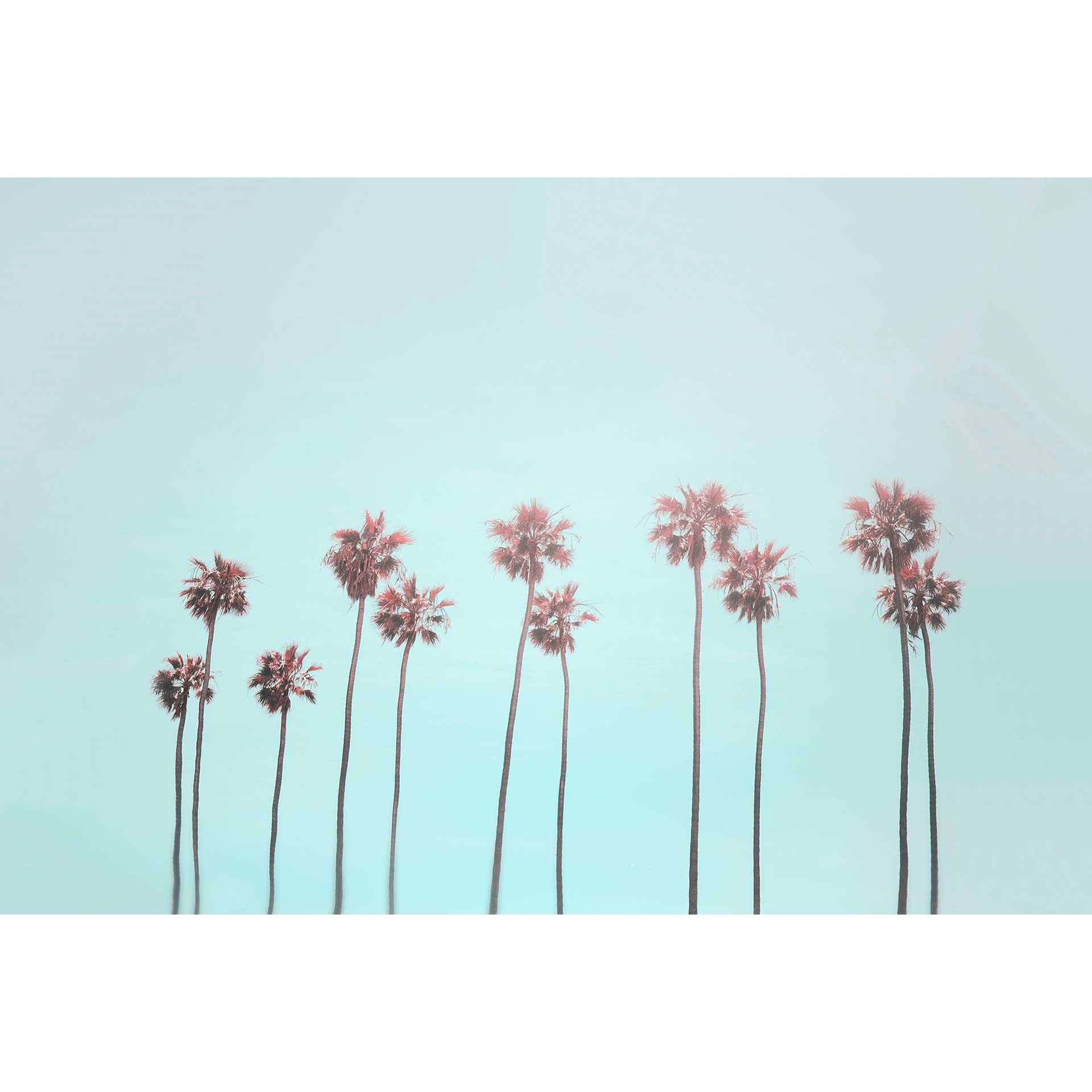 Livingwalls papier peint photo ARTist Tropical Trees