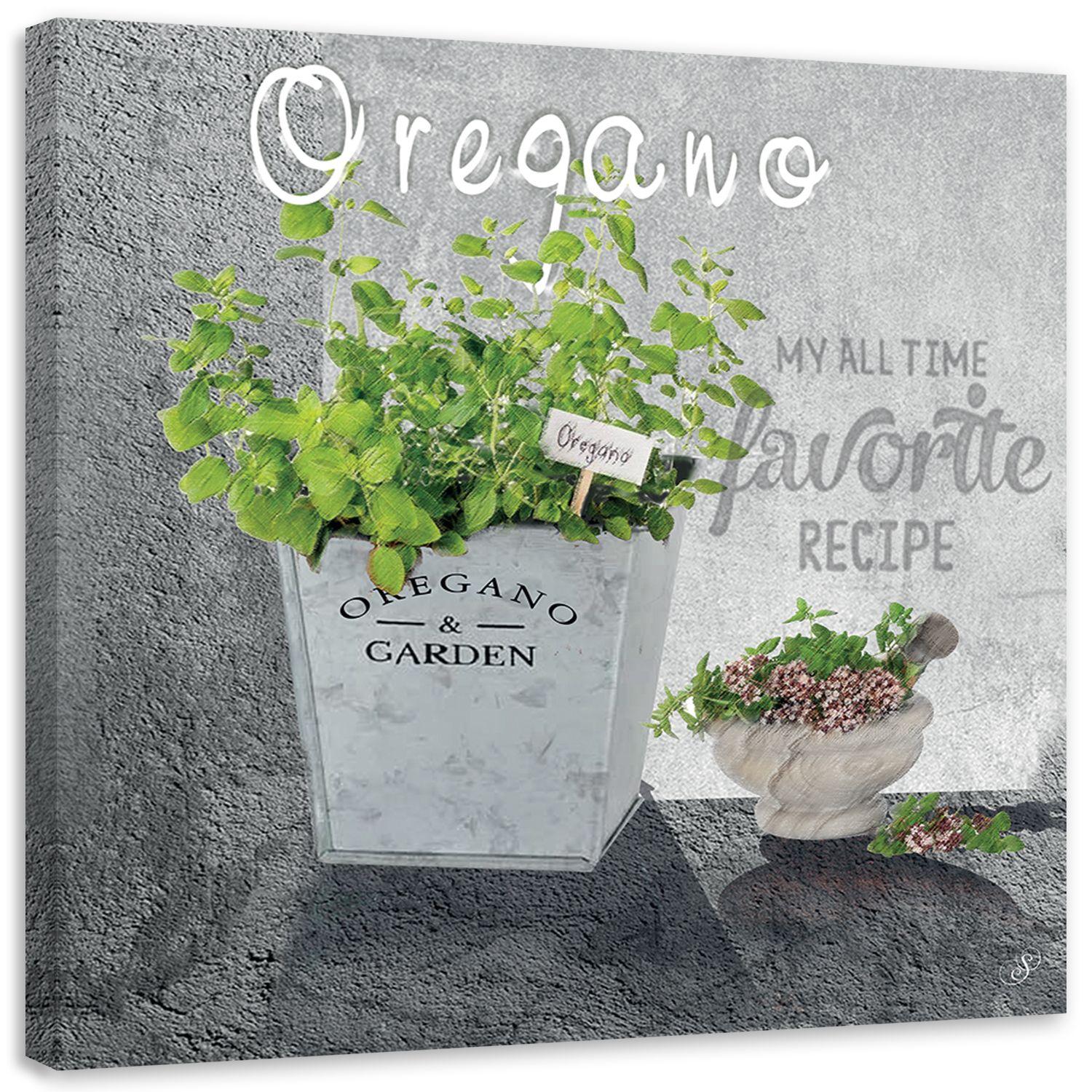 Canvasbillede, oregano køkkenurter