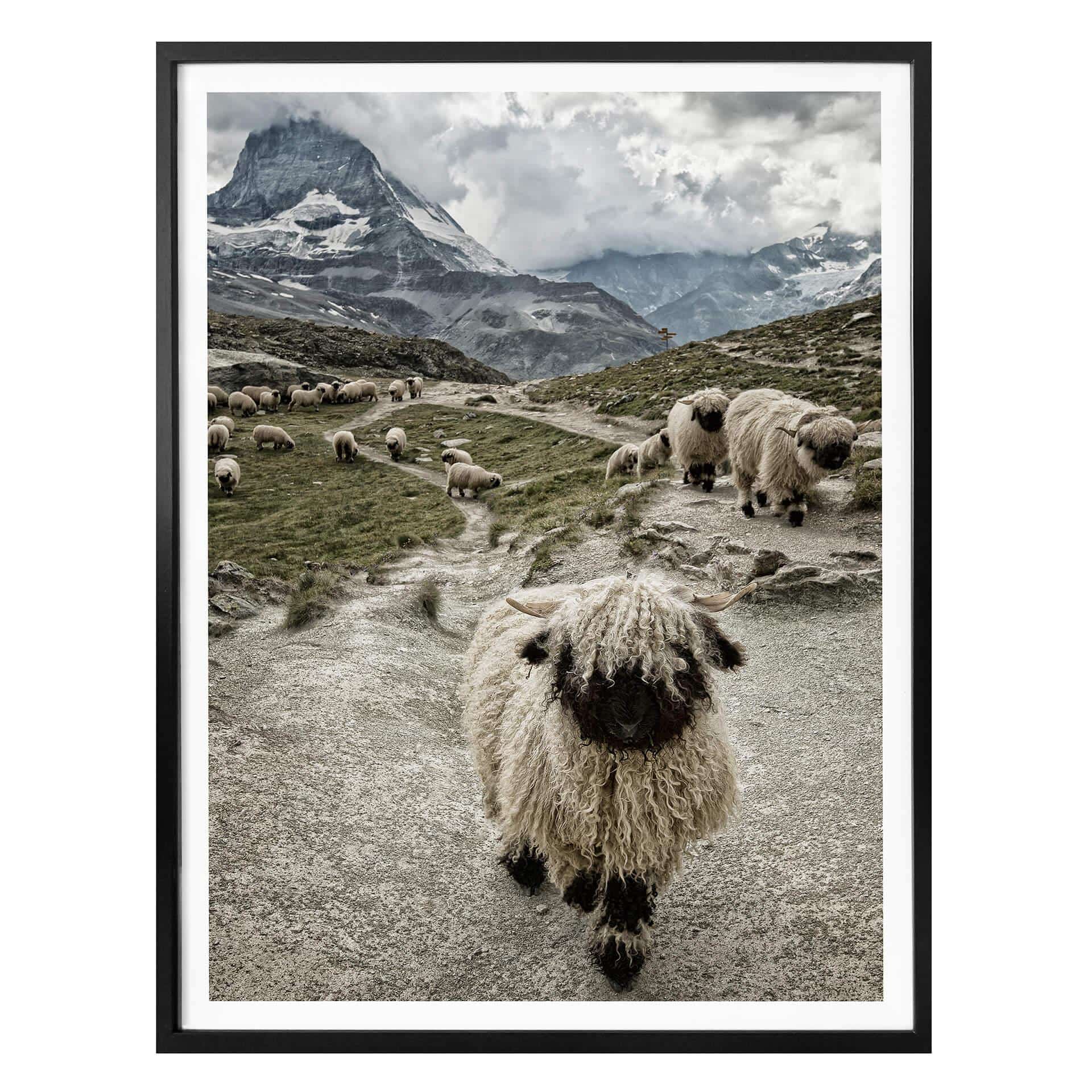 Póster Landolt - Excursión a la montaña