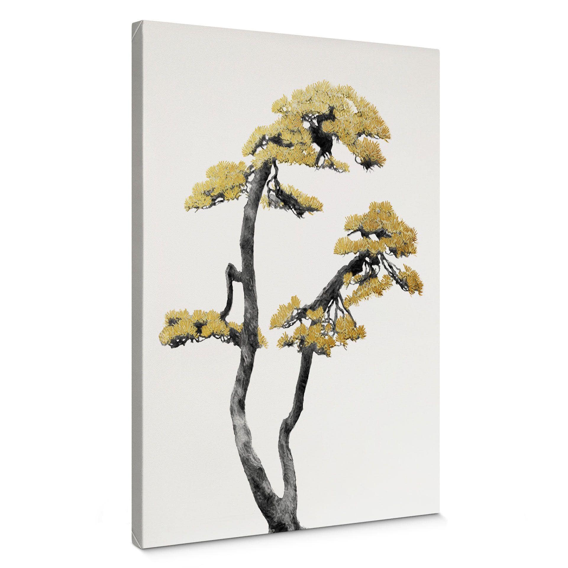 Tableau sur toile Amini - Bonsai