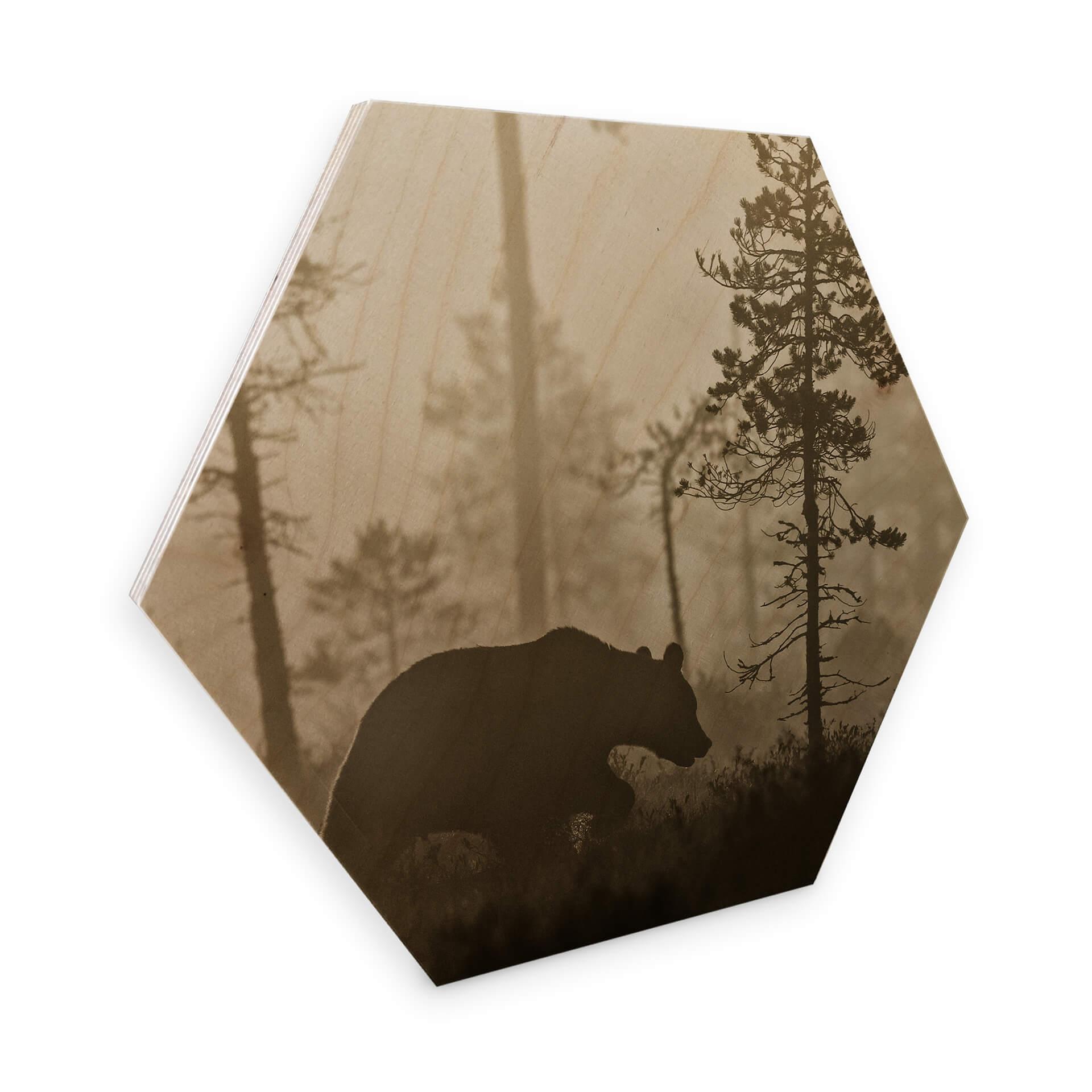 Hexagon Hout - Ove Linde - Foggy Morning