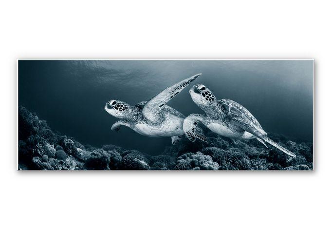 Tableau Forex - Narchuk - Deux tortues en voyage