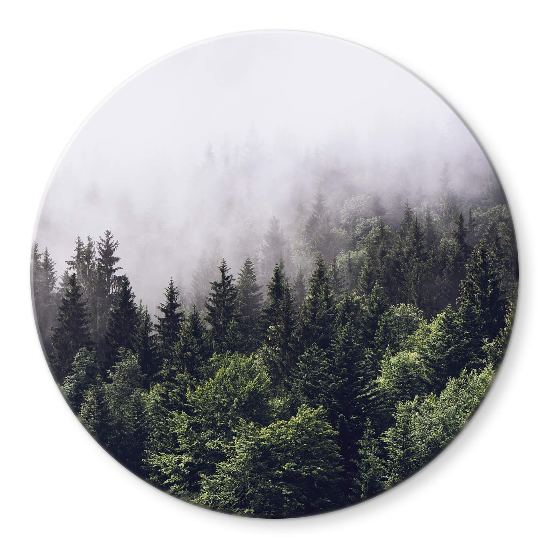 Glasschilderij rond Foggy Forest