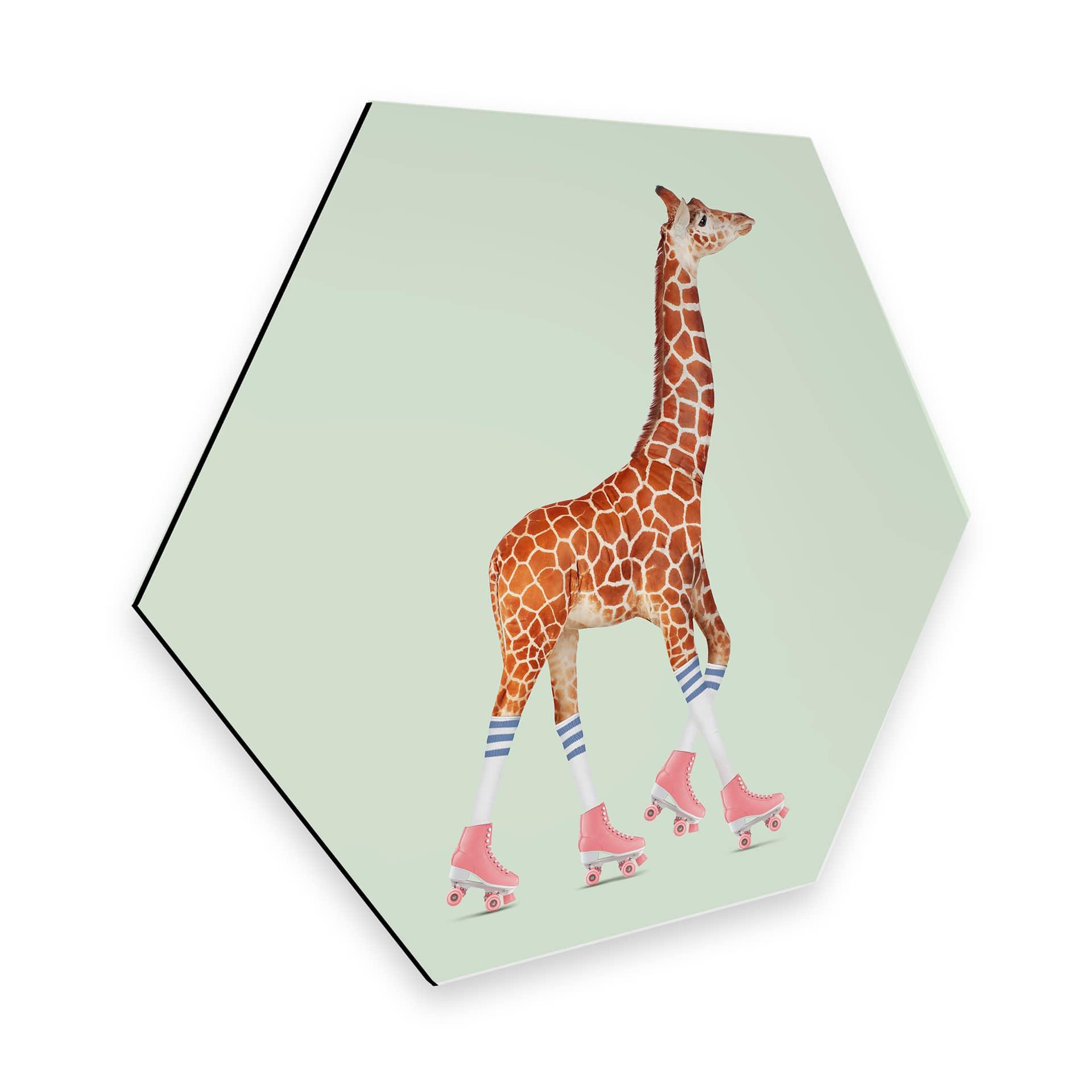 Hexagone - Alu Dibond Loose - Girafe faisant du patin à roulettes