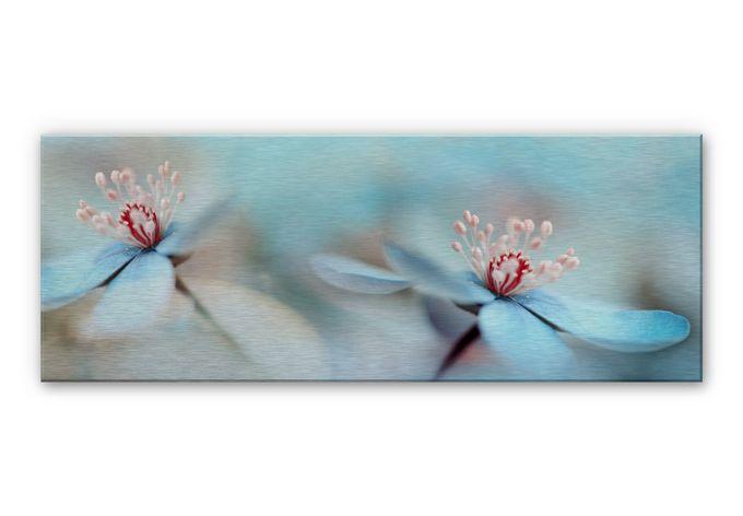 Aluminium Dibond – Westum – Delicate Flowers