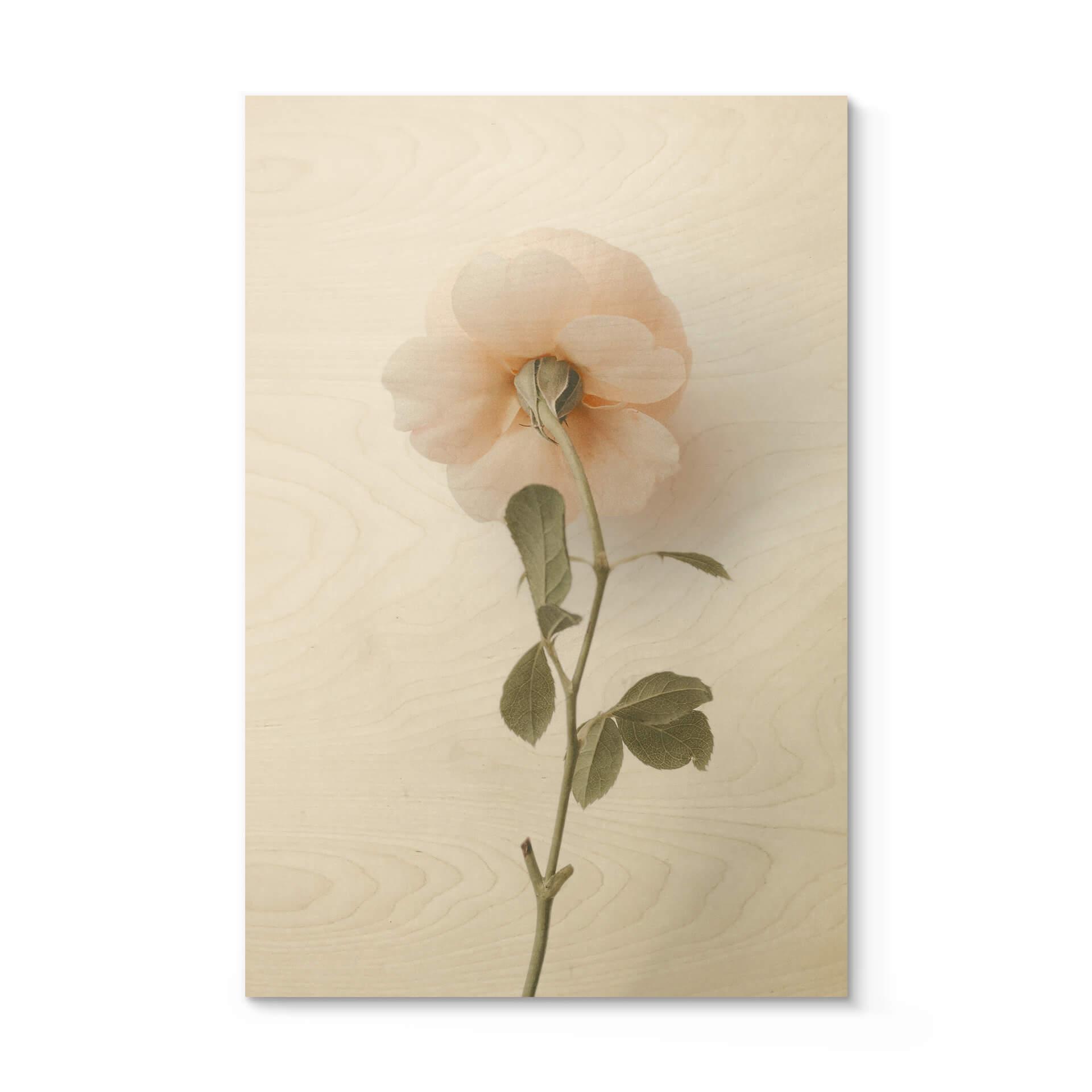Cuadro de madera Annie - La rosa