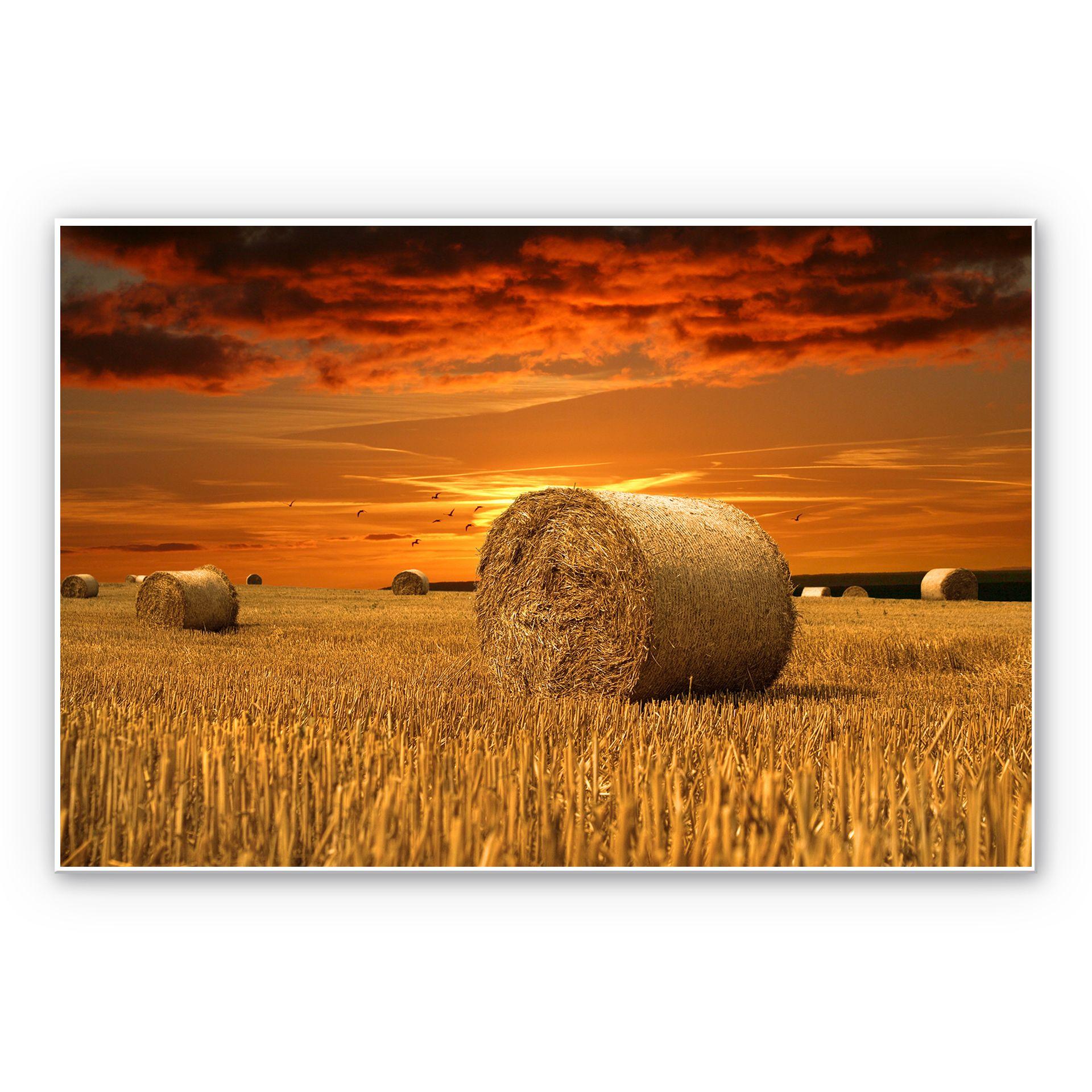 Tableau Forex - Balles de paille