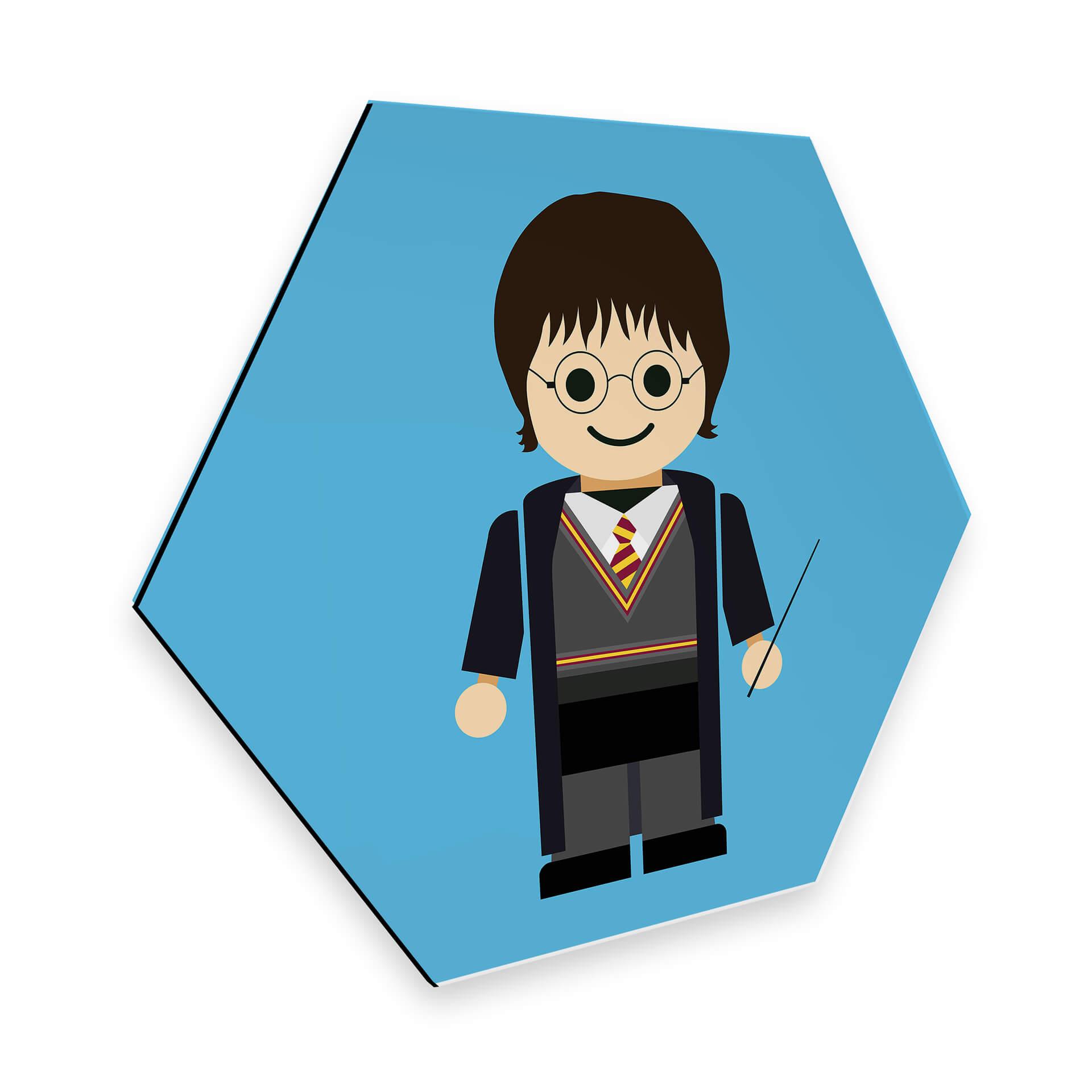 Hexagon - Alu-Dibond Gomes - Harry Potter 