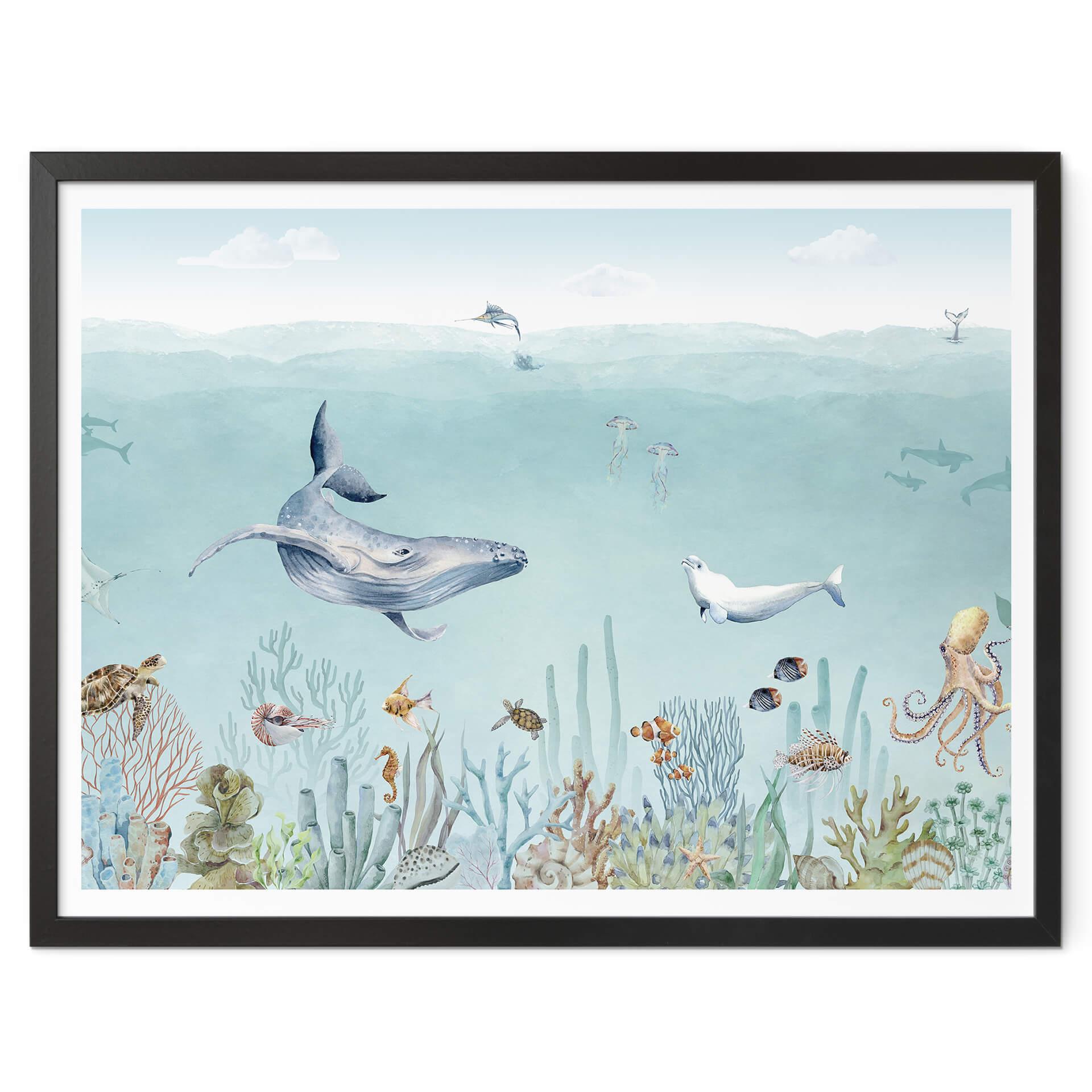 Póster Kikki Belle - Vida marina