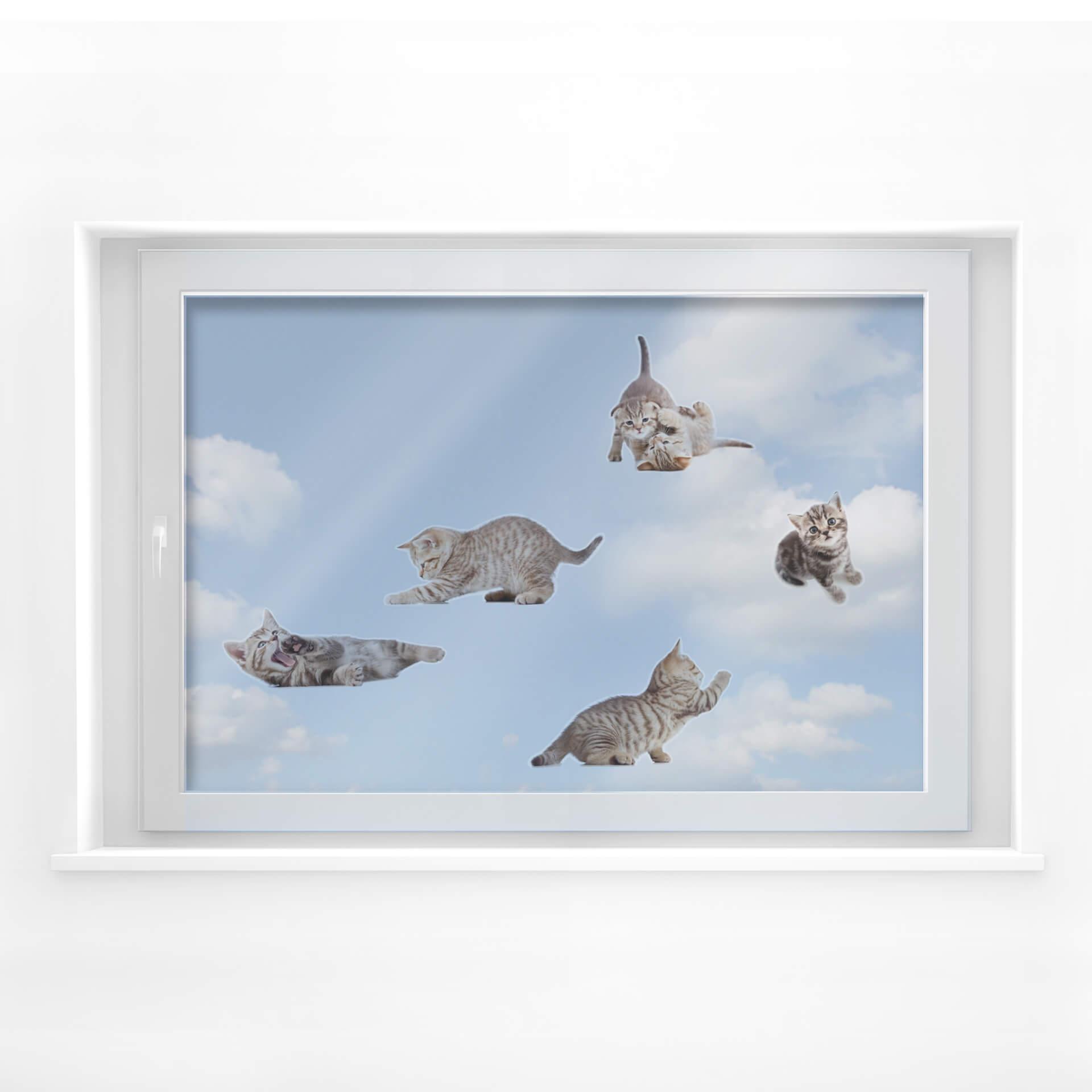 Fensterbild Real baby cats Set 01