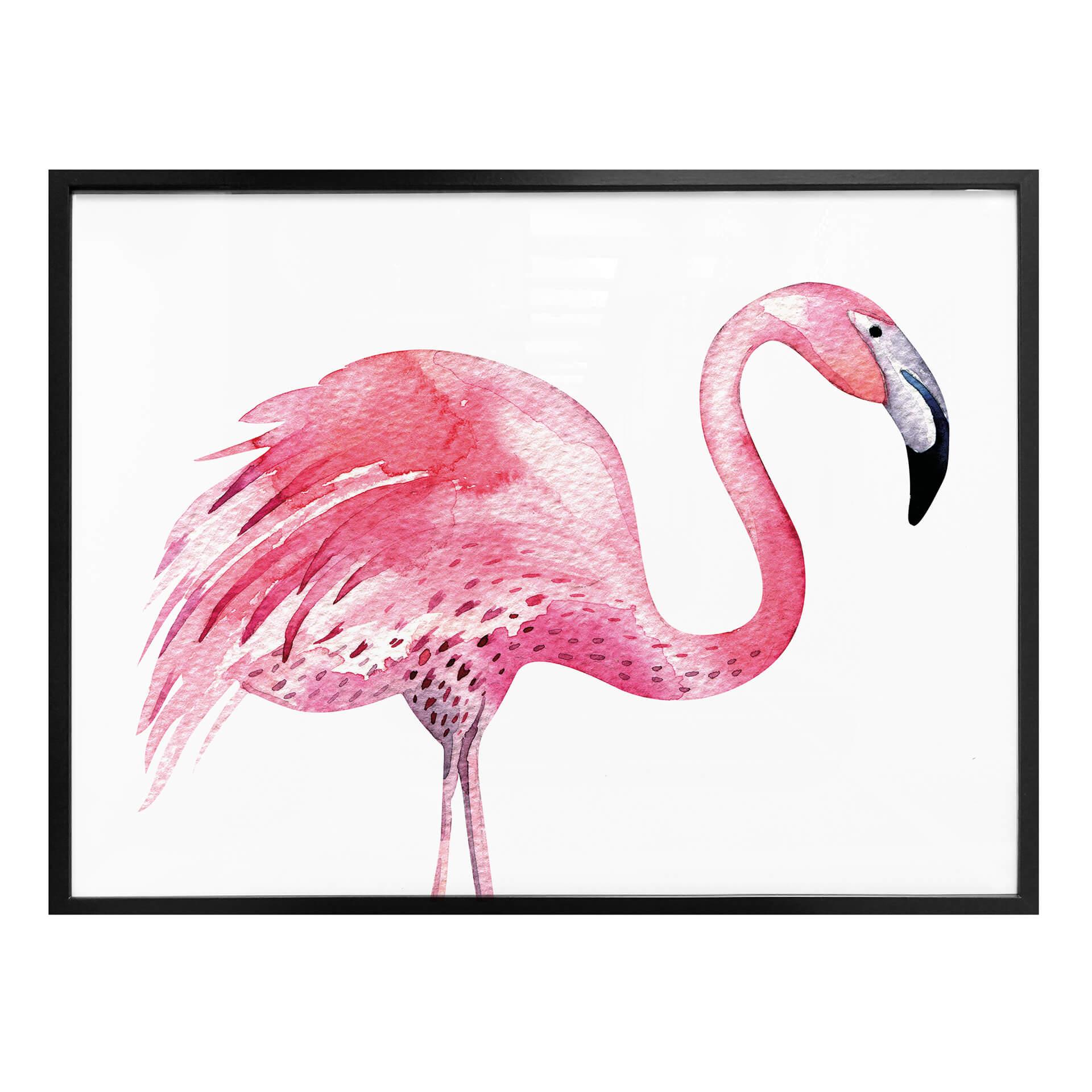 Póster Kvilis - Flamenco rosa 03
