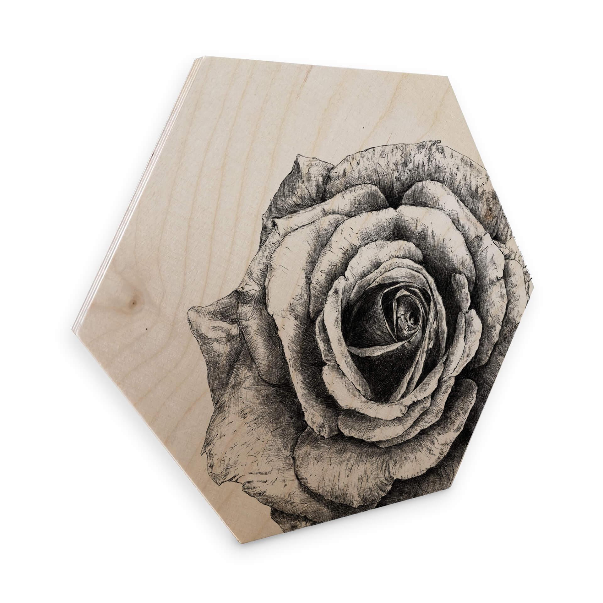 Hexagon - Birketræfinér - Kools - Rose