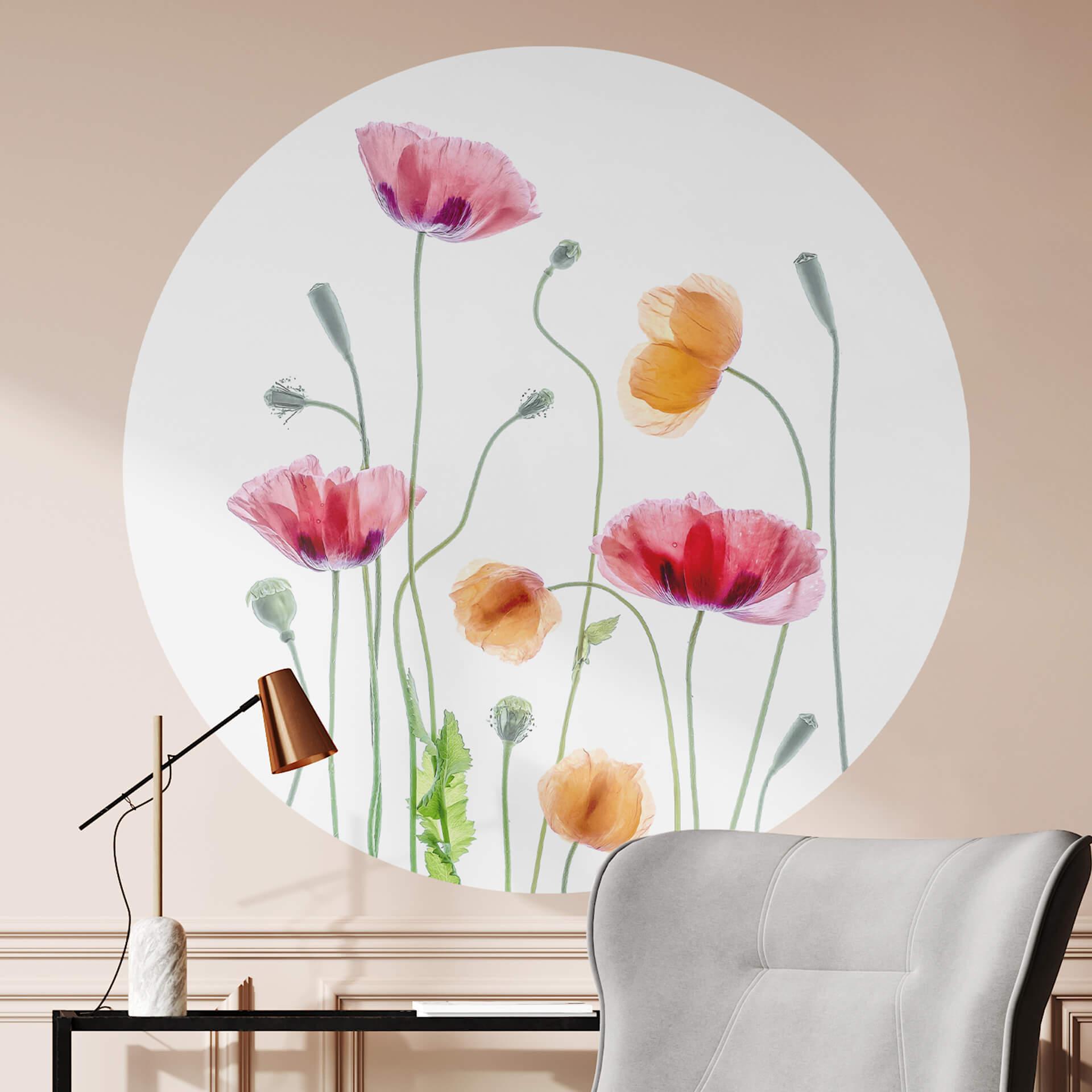 Sticker Mural Disher - Colourful Poppies