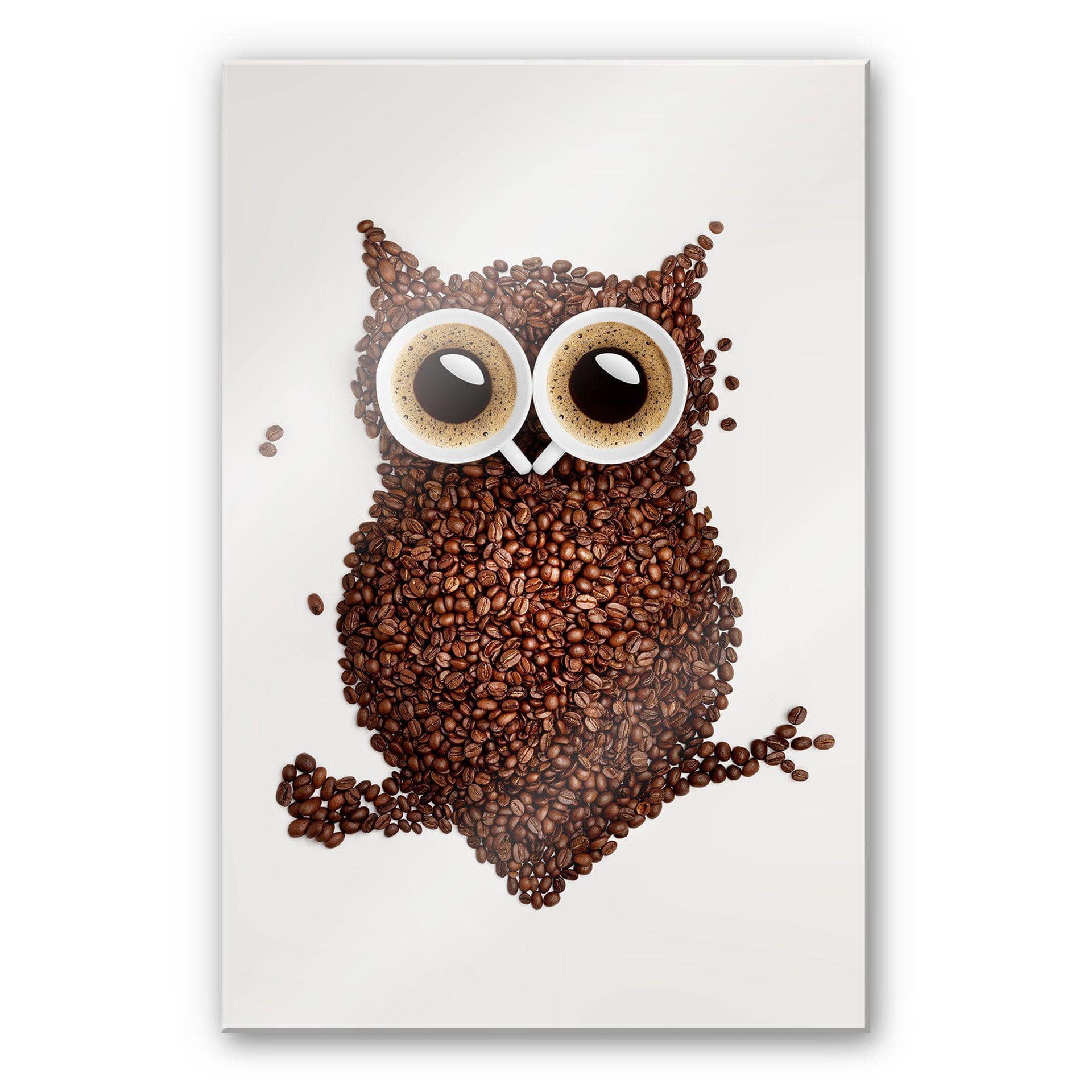 Tableau en verre acrylique - Hibou café