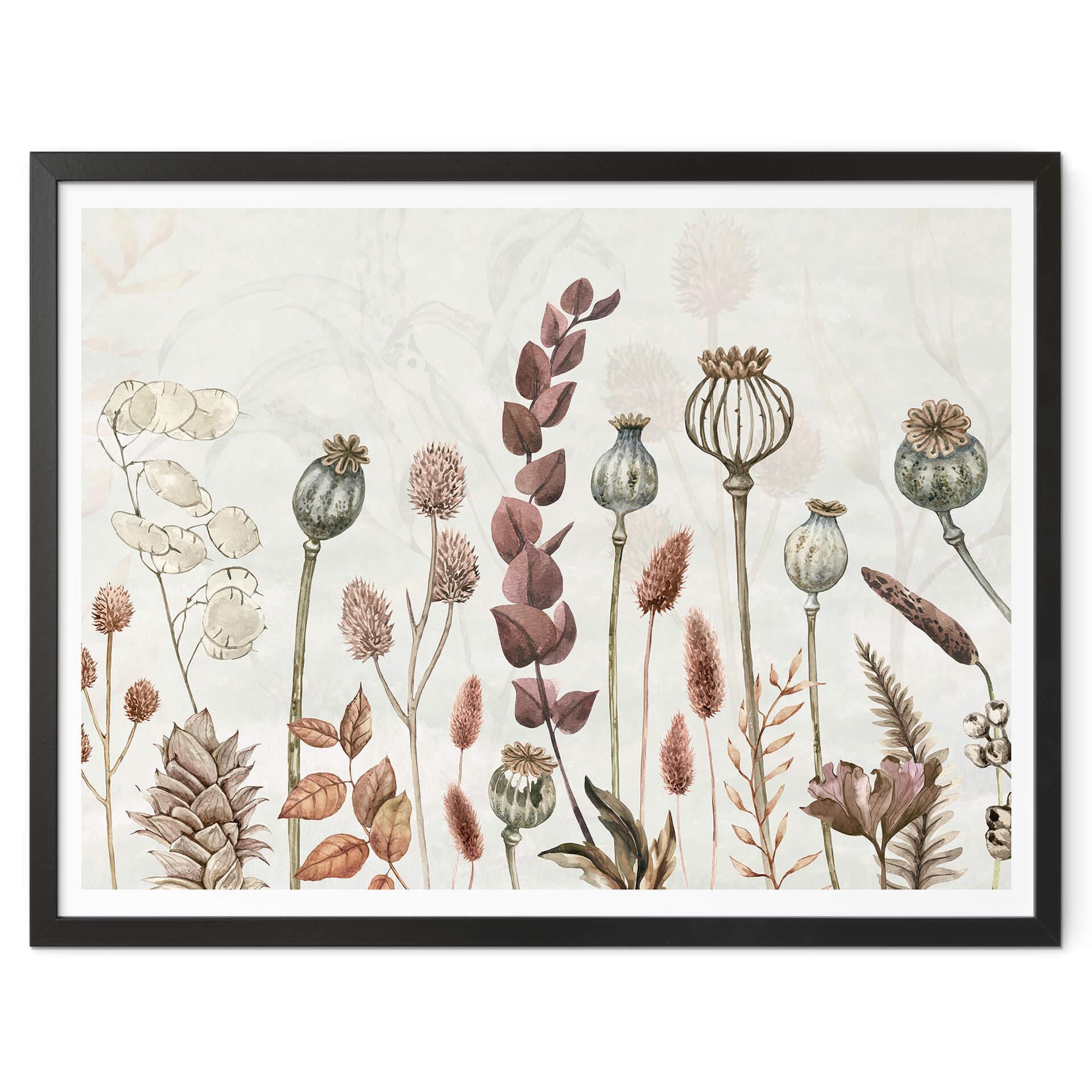 Póster Sir Edward - Flores secas Blanco