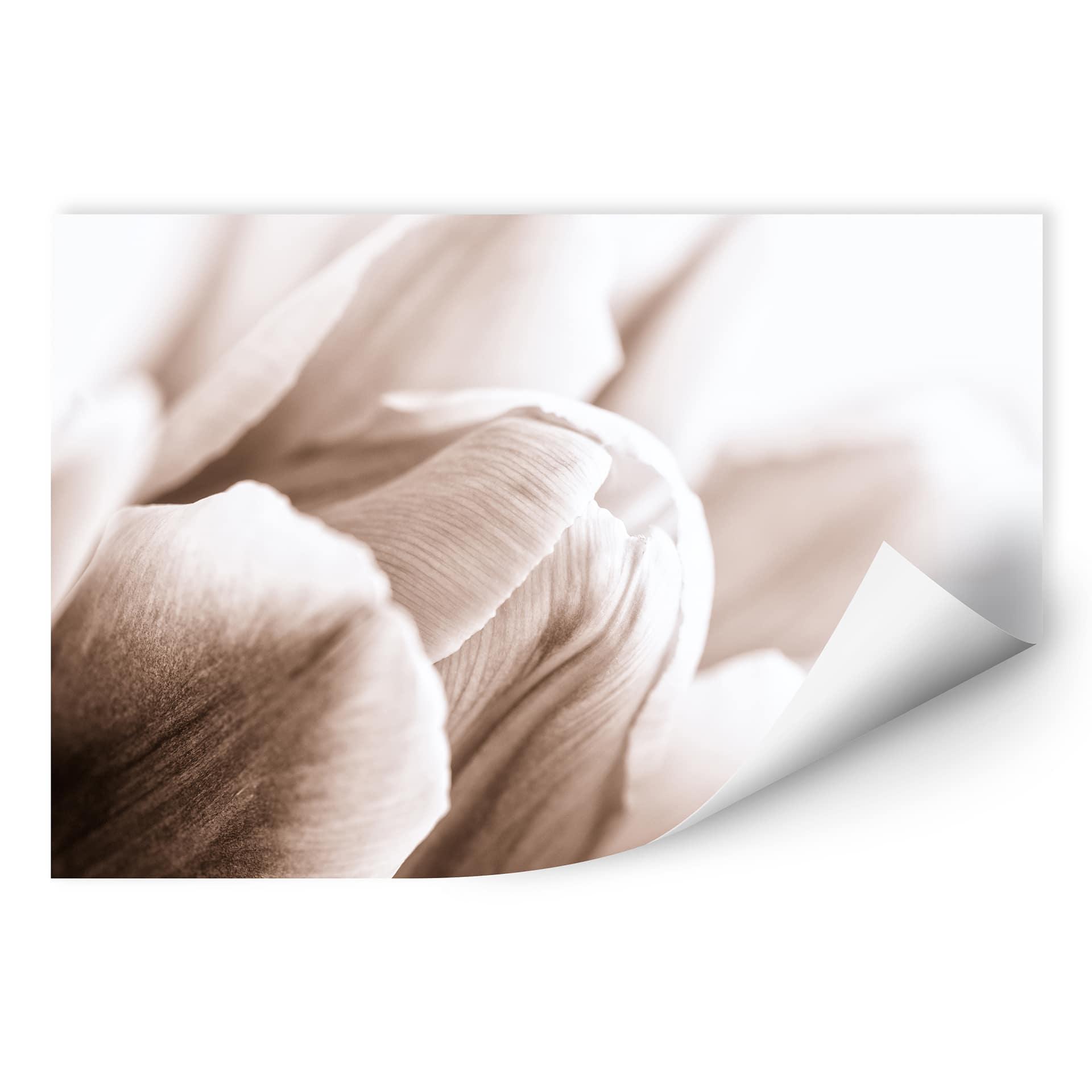 Muurprints - Tulpen in Detail