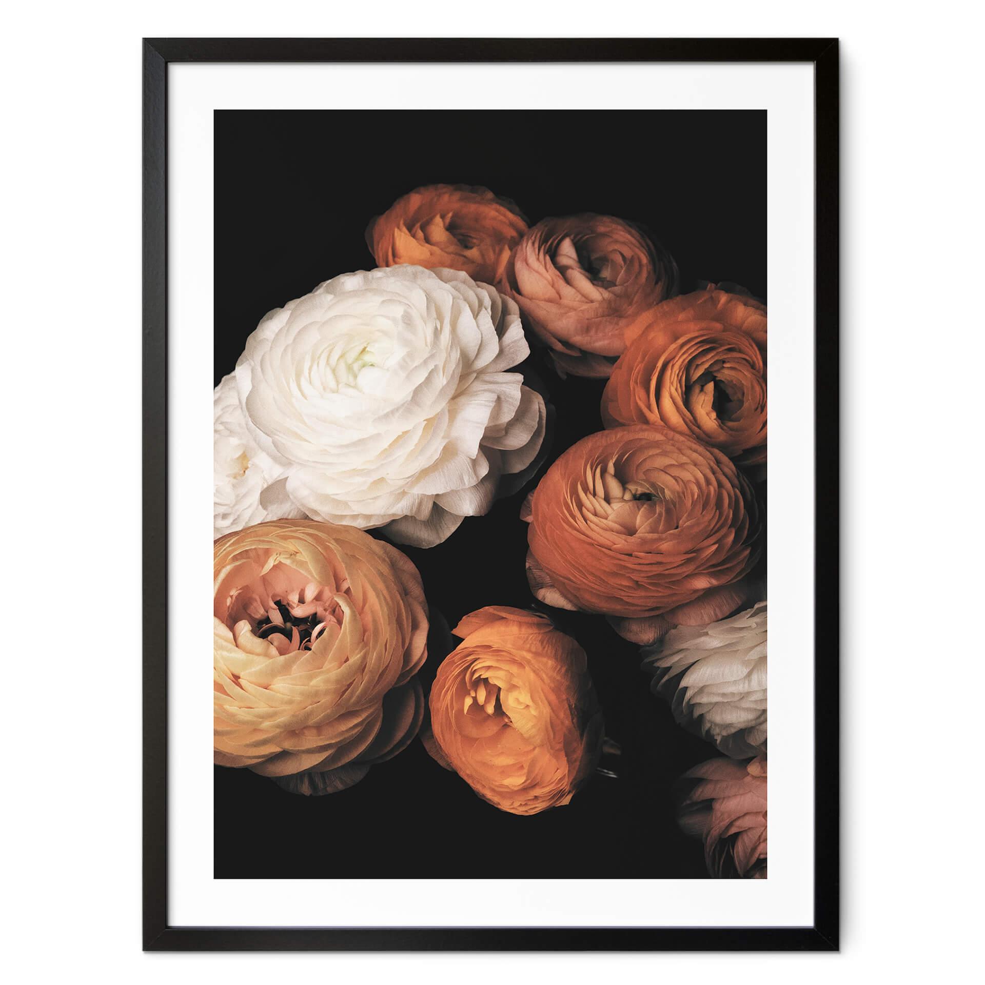 Póster FiguraNYC Photography - Naturaleza muerta de ranúnculos