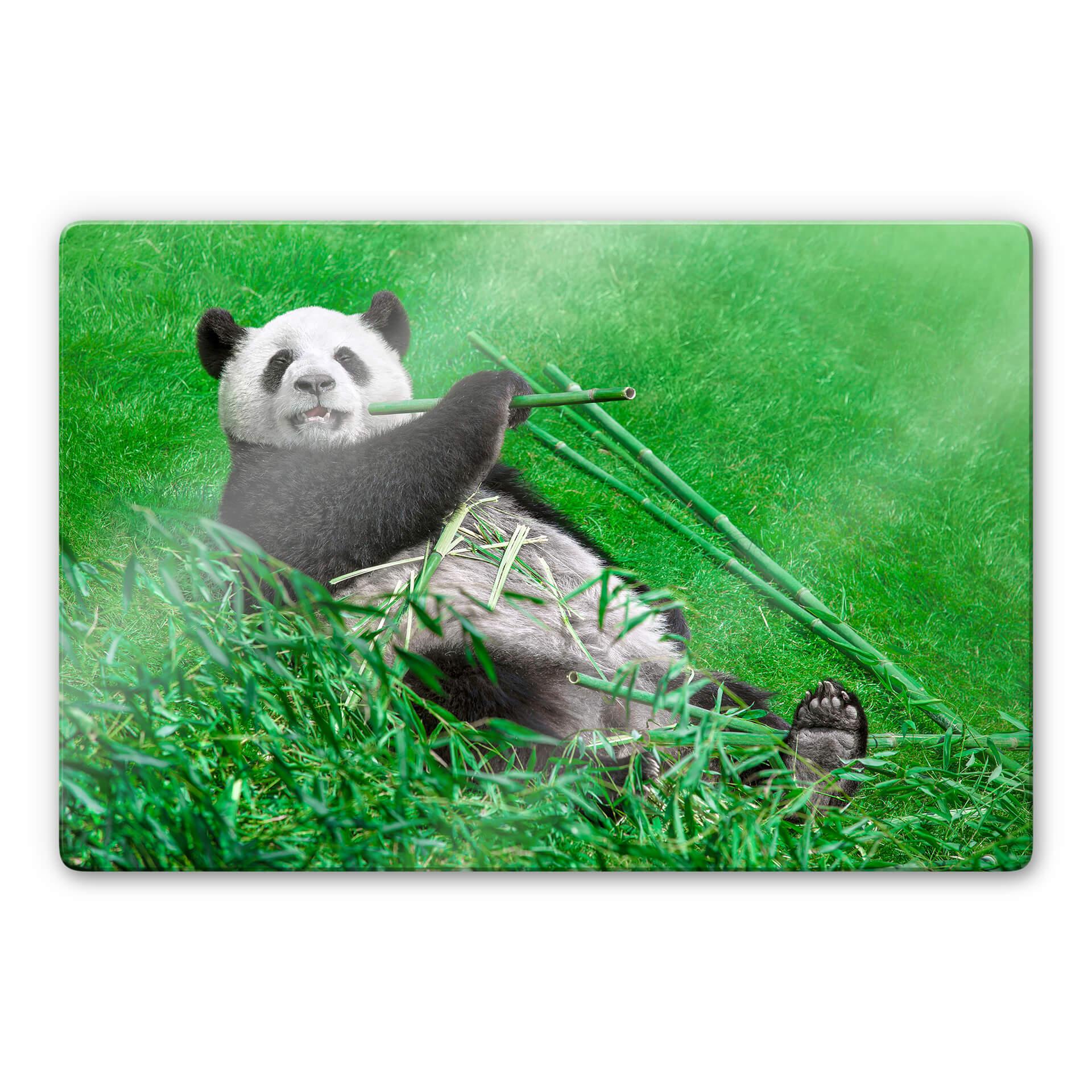 Glasschilderij Ben Heine - Happy Panda