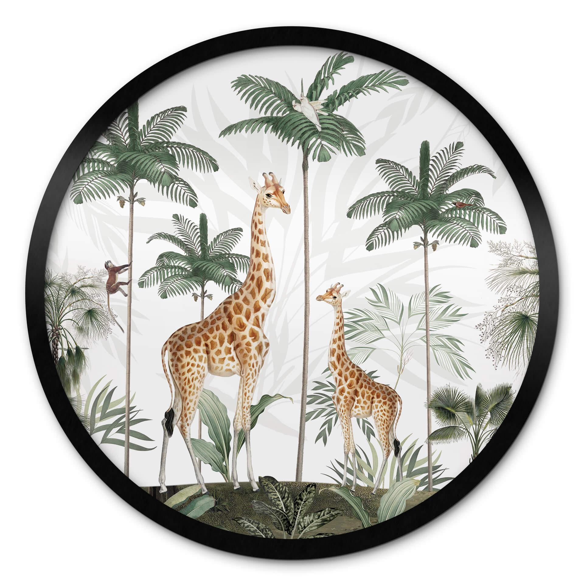 Plakat Kikki Belle - Giraffes