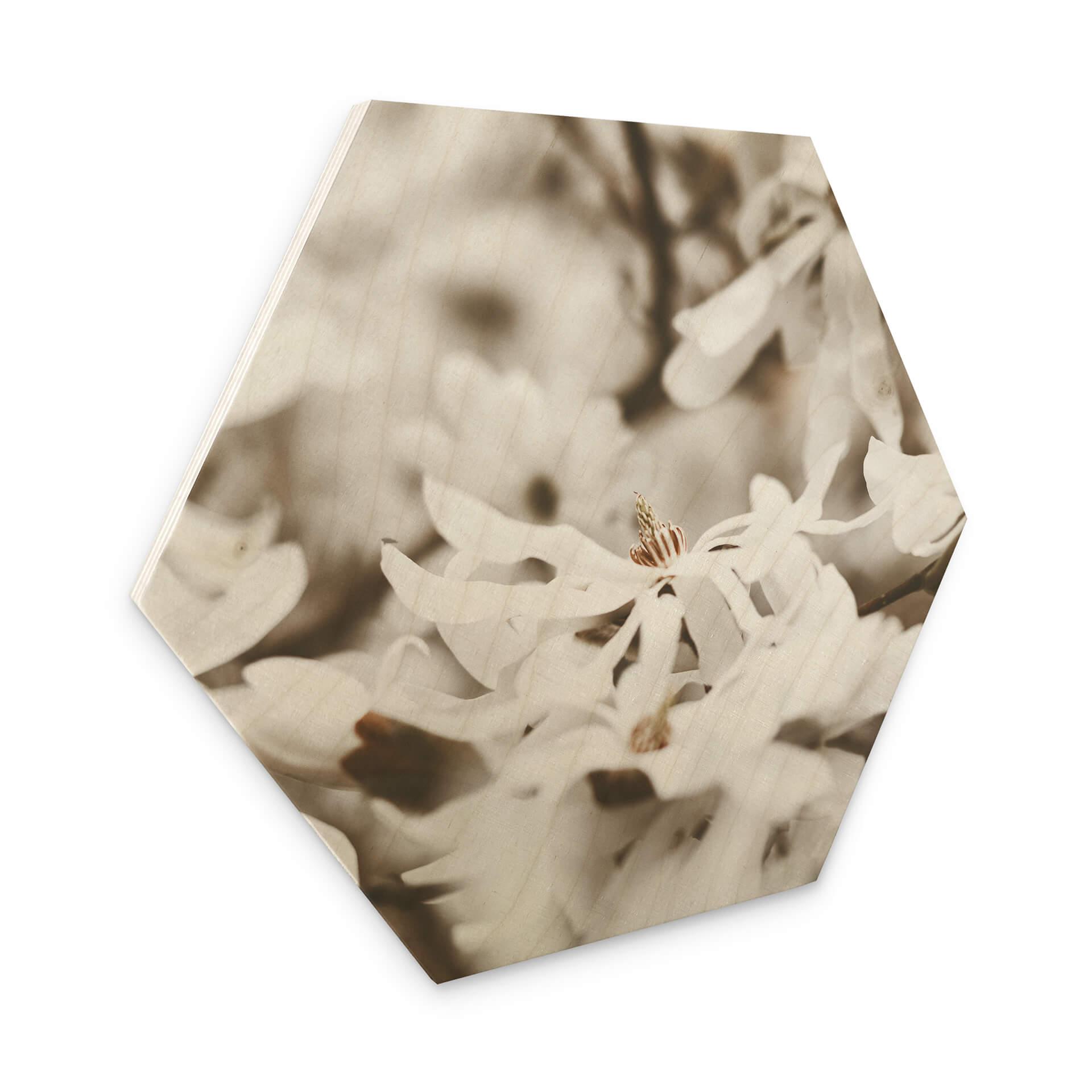 Hexagone - Bois Annie - Jasmin