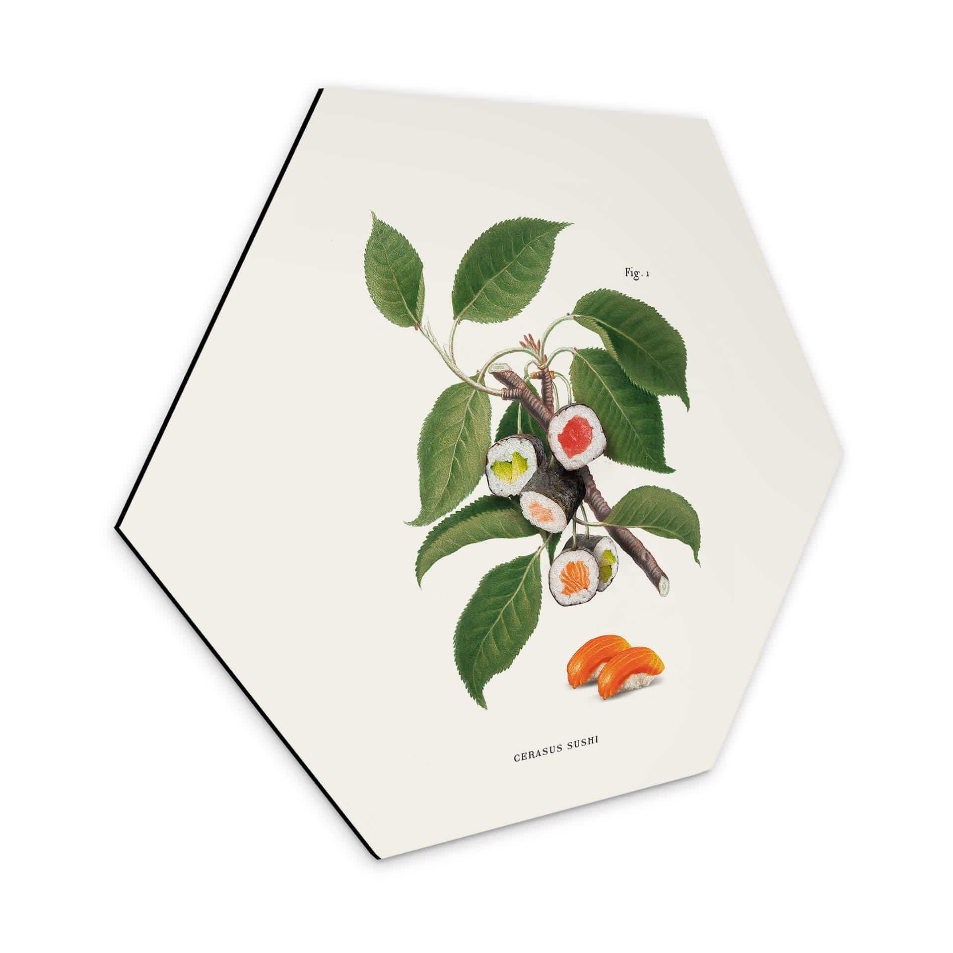 Hexagone - alu-Dibond Loose - Plante à sushis